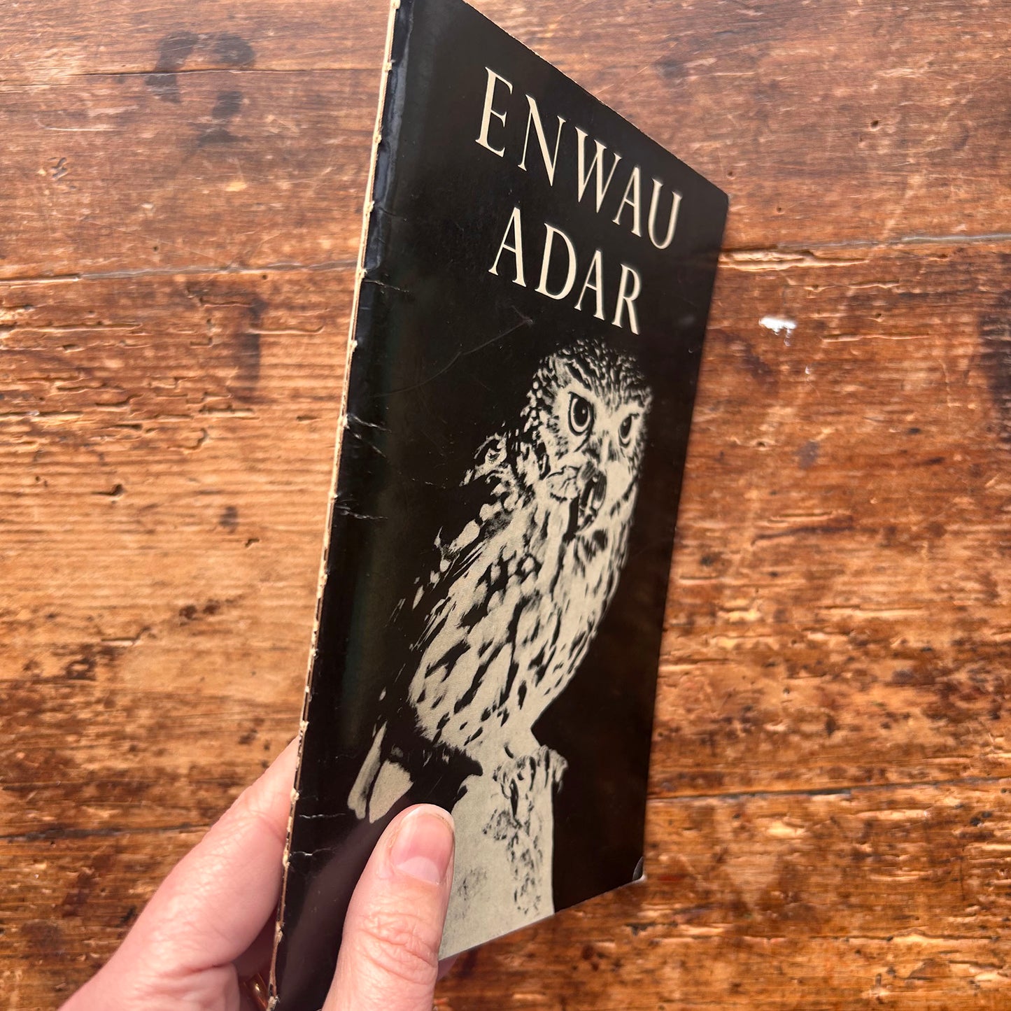Casgliad o Enwau Adar - Bird Names - 1962 (Preloved)