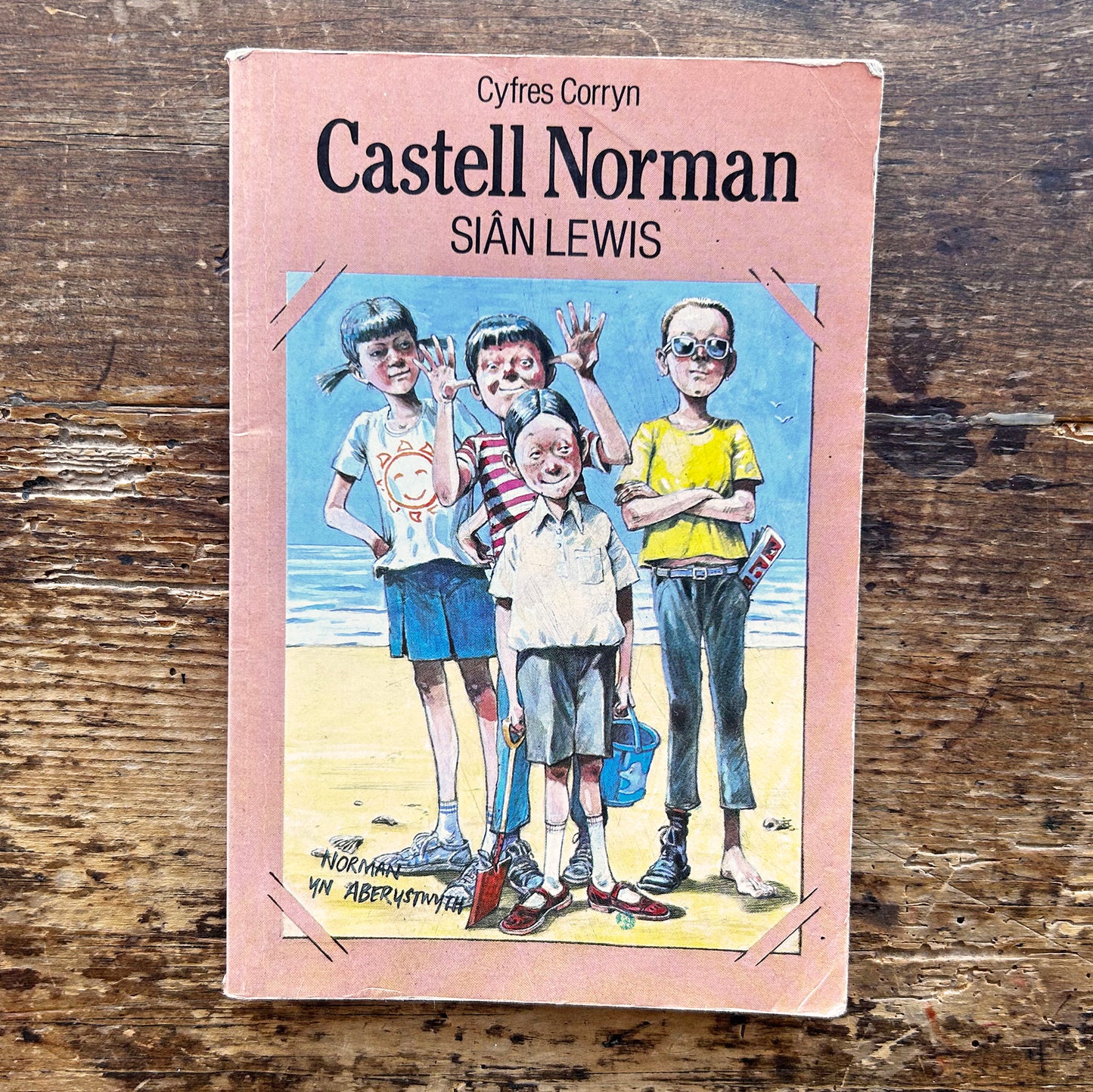 Castell Norman - Sian Lewis - 1992 (Preloved)