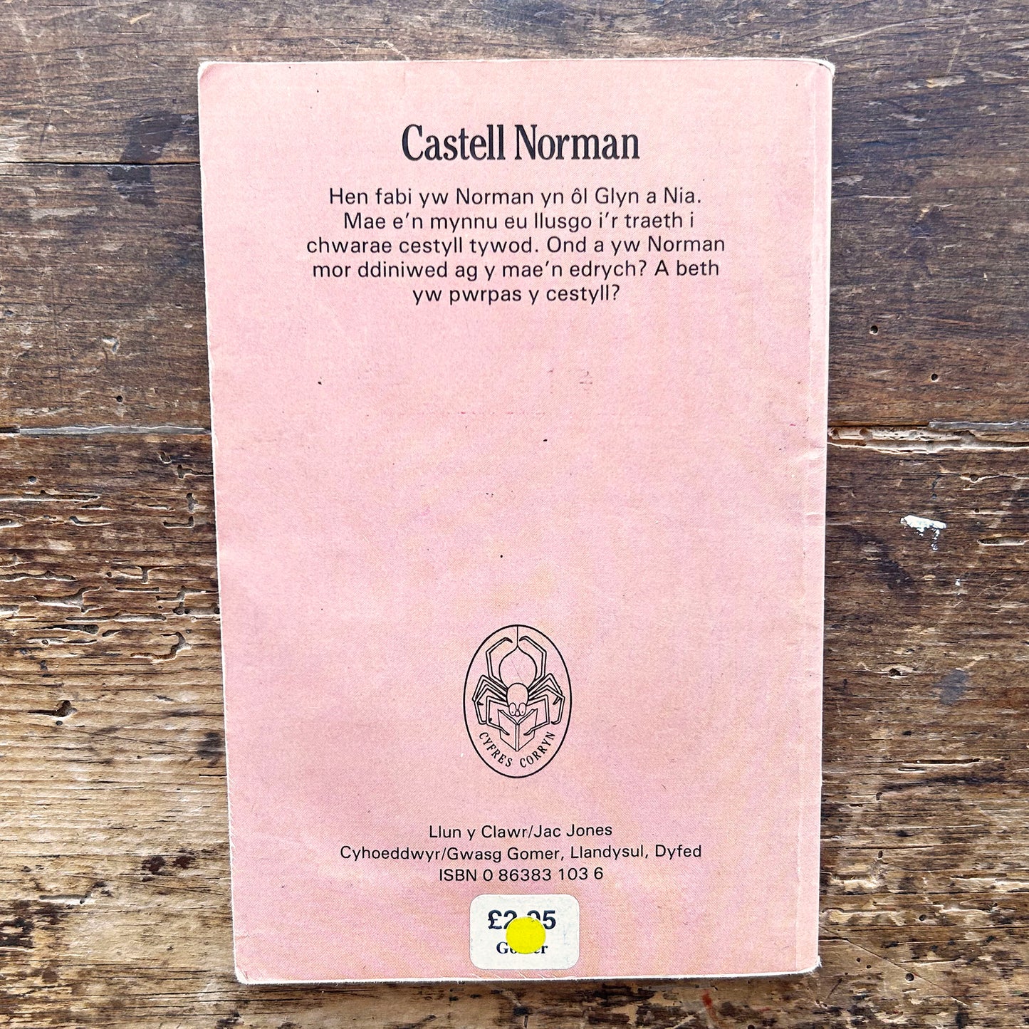 Castell Norman - Sian Lewis - 1992 (Preloved)