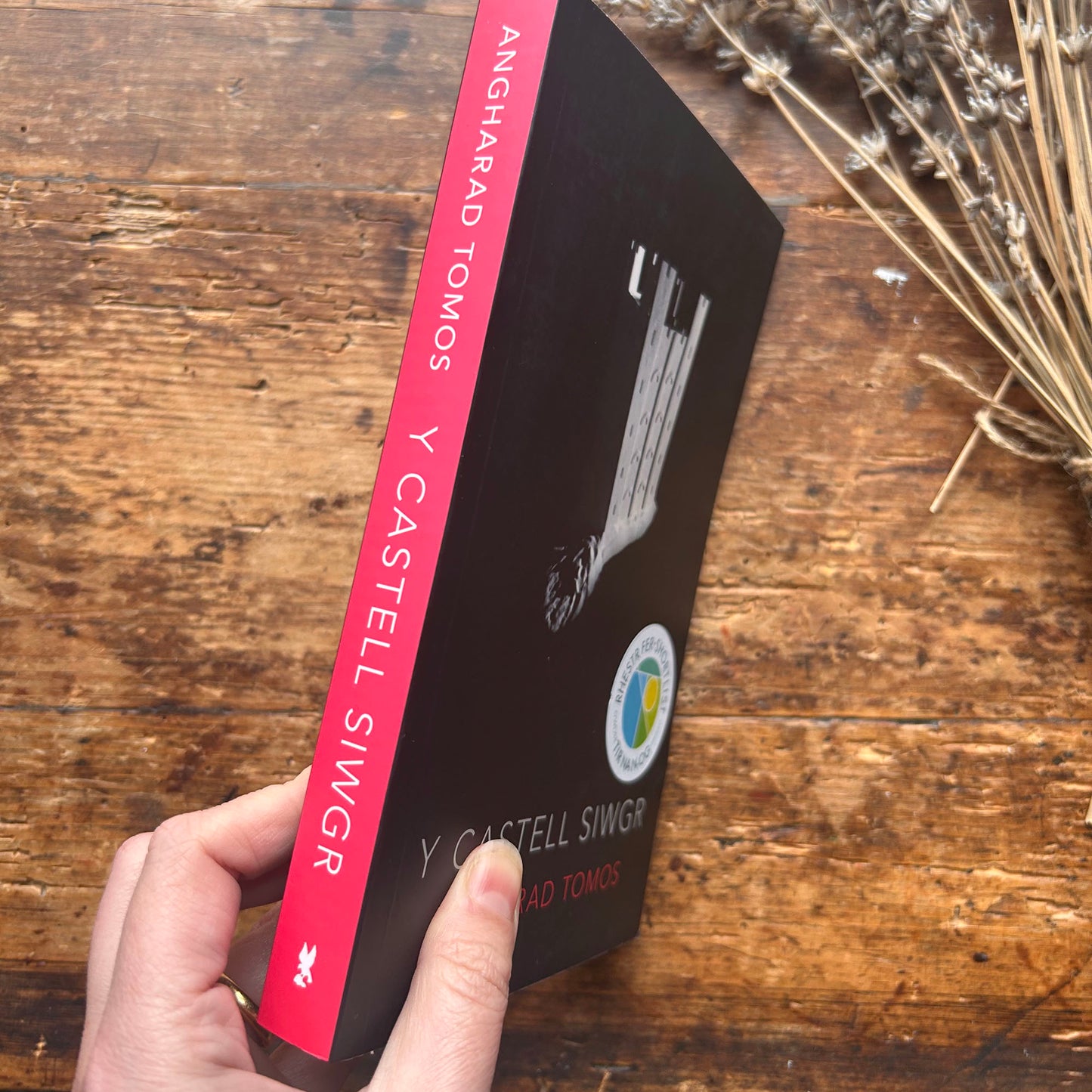 Nedw - E. Tegla Davies - Byrddau Glas - 1922 (Wedi'i ail-law)