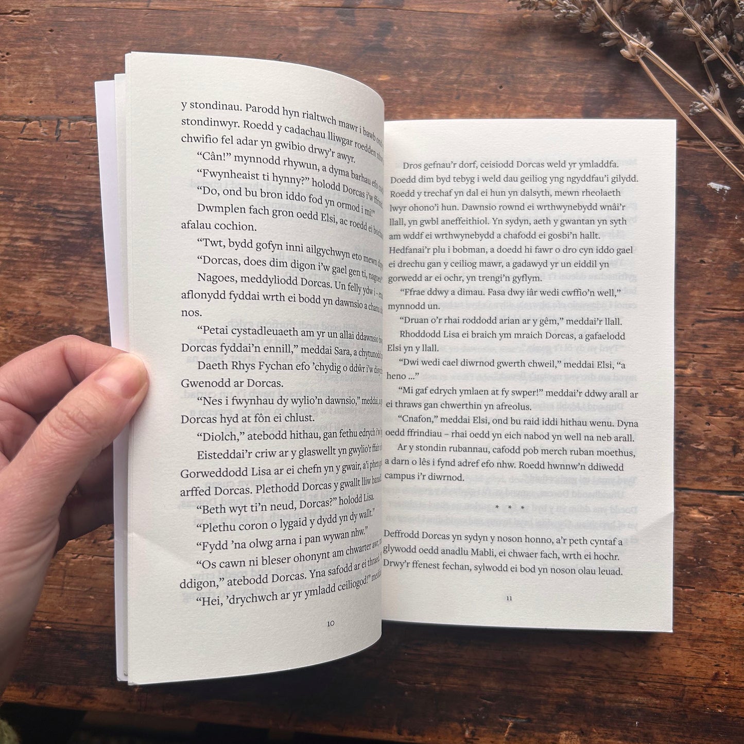 Nedw - E. Tegla Davies - Byrddau Glas - 1922 (Wedi'i ail-law)