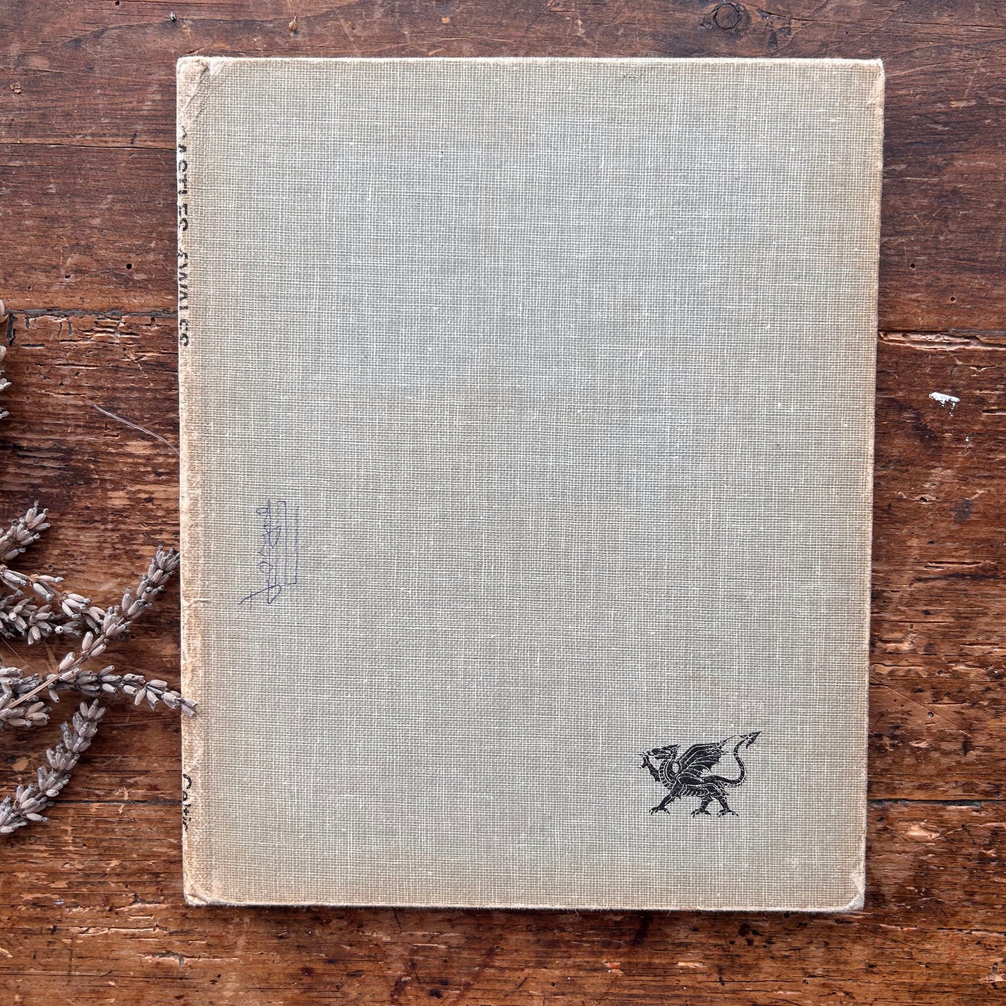 Castles of Wales - 1974 (Preloved)