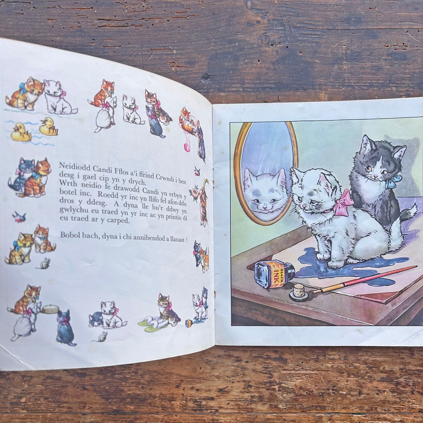 Cathod Llangathen - Cyfres y Frân Wen - 20 (Preloved)