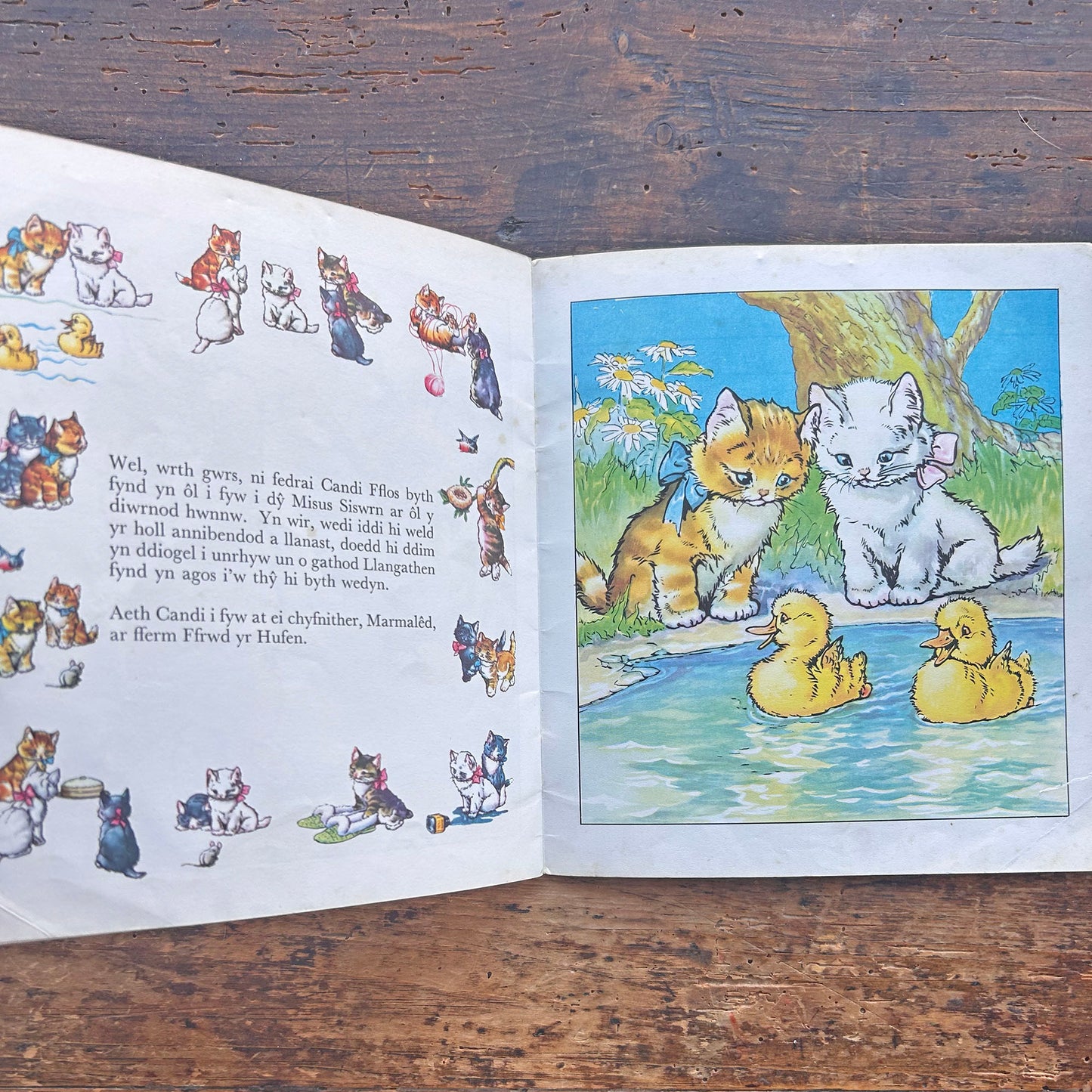 Cathod Llangathen - Cyfres y Frân Wen - 20 (Preloved)