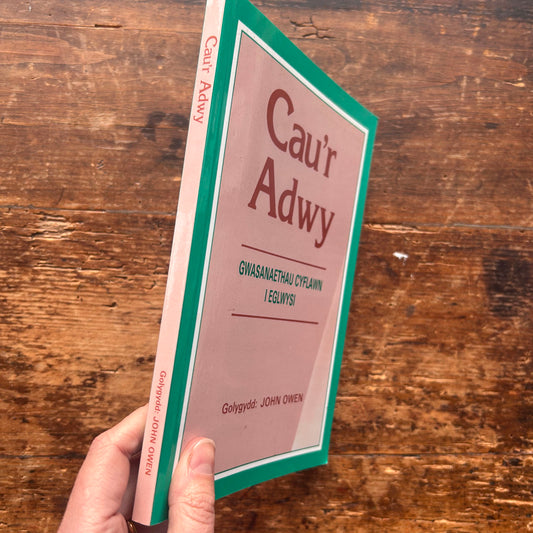 Cau'r Adwy - Gwasanaethau Cyflawn I Eglwysi - John Owen (Preloved)