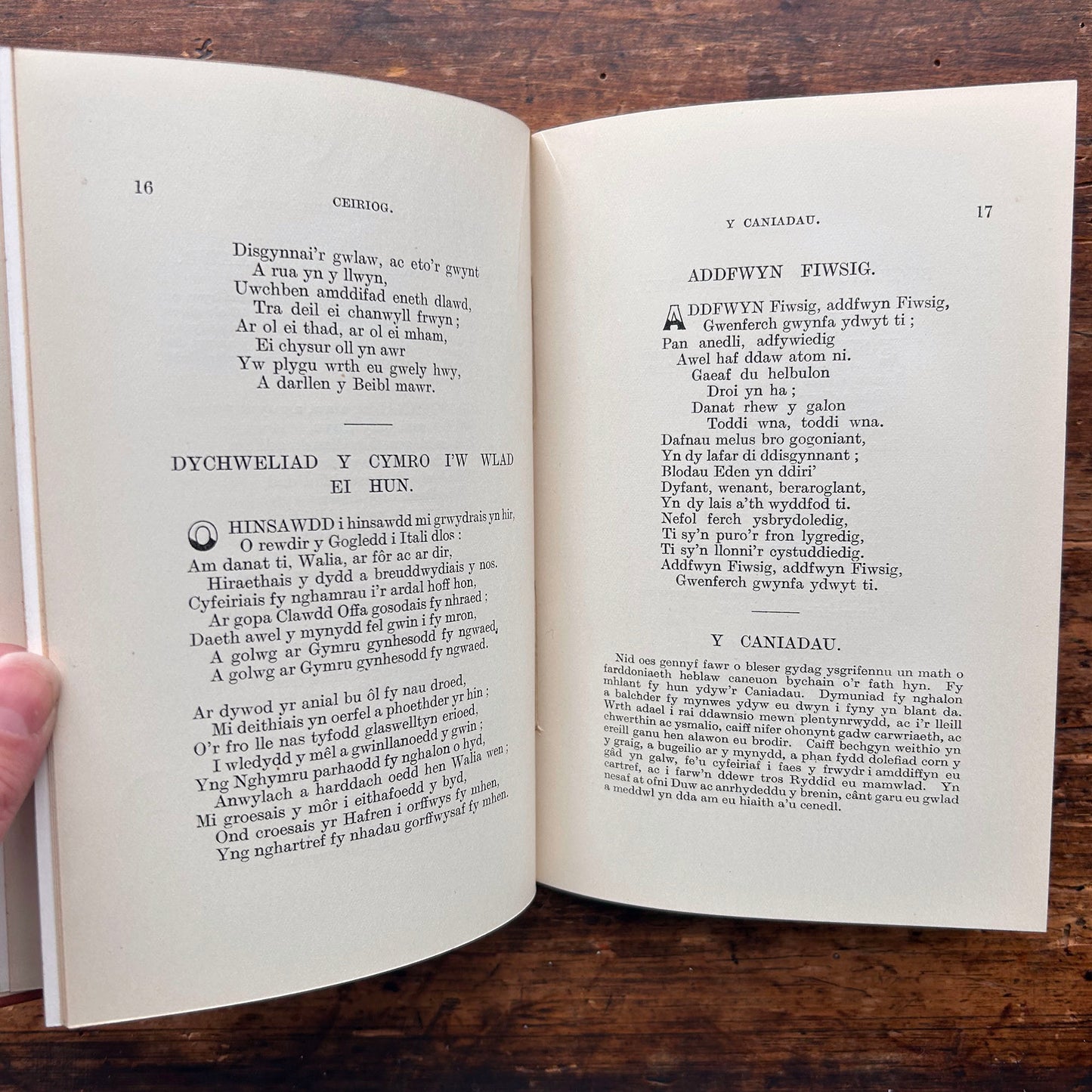 William Jones - Nofel Gan T. Rowland Hughes - 1951 (Rhag-gariad)