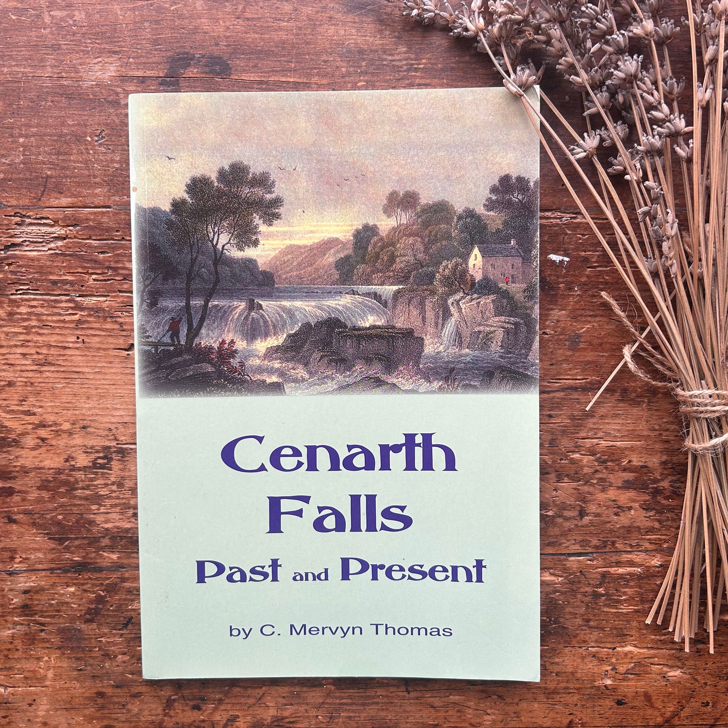 Nedw - E. Tegla Davies - Byrddau Glas - 1922 (Wedi'i ail-law)