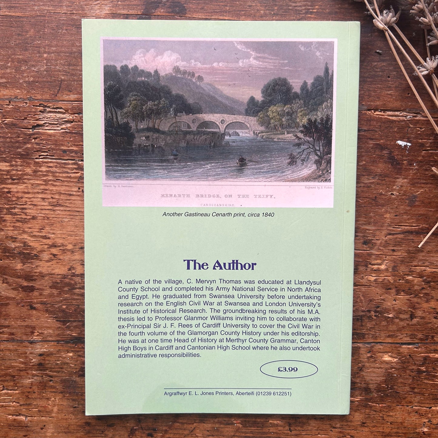 Nedw - E. Tegla Davies - Byrddau Glas - 1922 (Wedi'i ail-law)