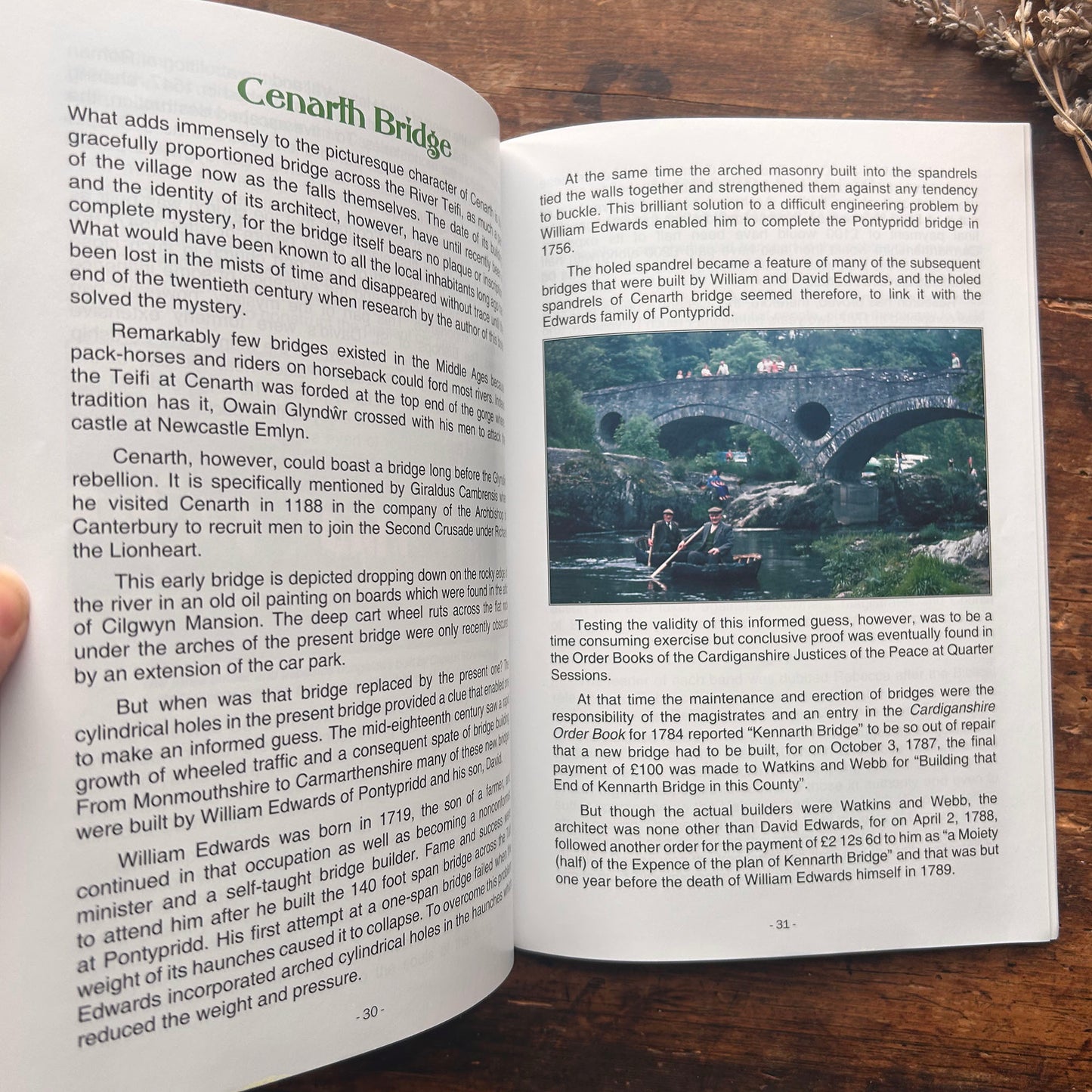 Nedw - E. Tegla Davies - Byrddau Glas - 1922 (Wedi'i ail-law)