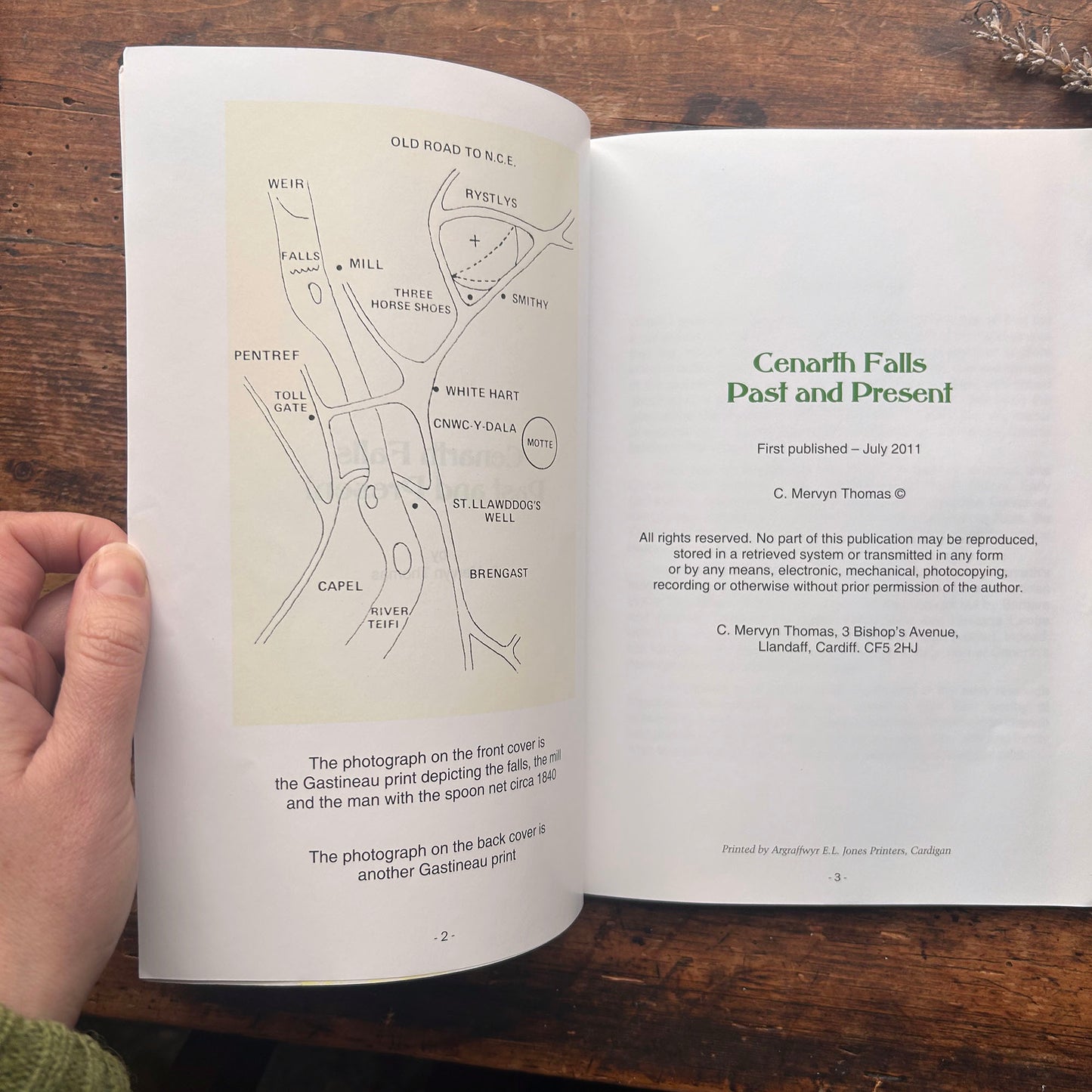 Nedw - E. Tegla Davies - Byrddau Glas - 1922 (Wedi'i ail-law)