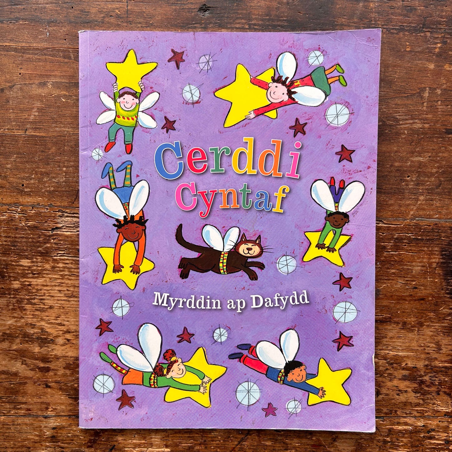 Cerddi Cyntaf - Myrddin ap Dafydd (Preloved)