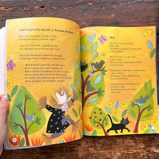 Cerddi Cyntaf - Myrddin ap Dafydd (Preloved)