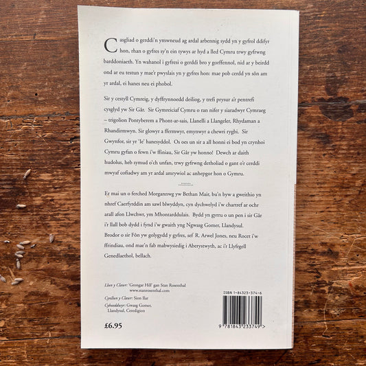 Cerddi Sir Gâr - Bethan Mair - 2004 - 1st Ed. (Preloved)