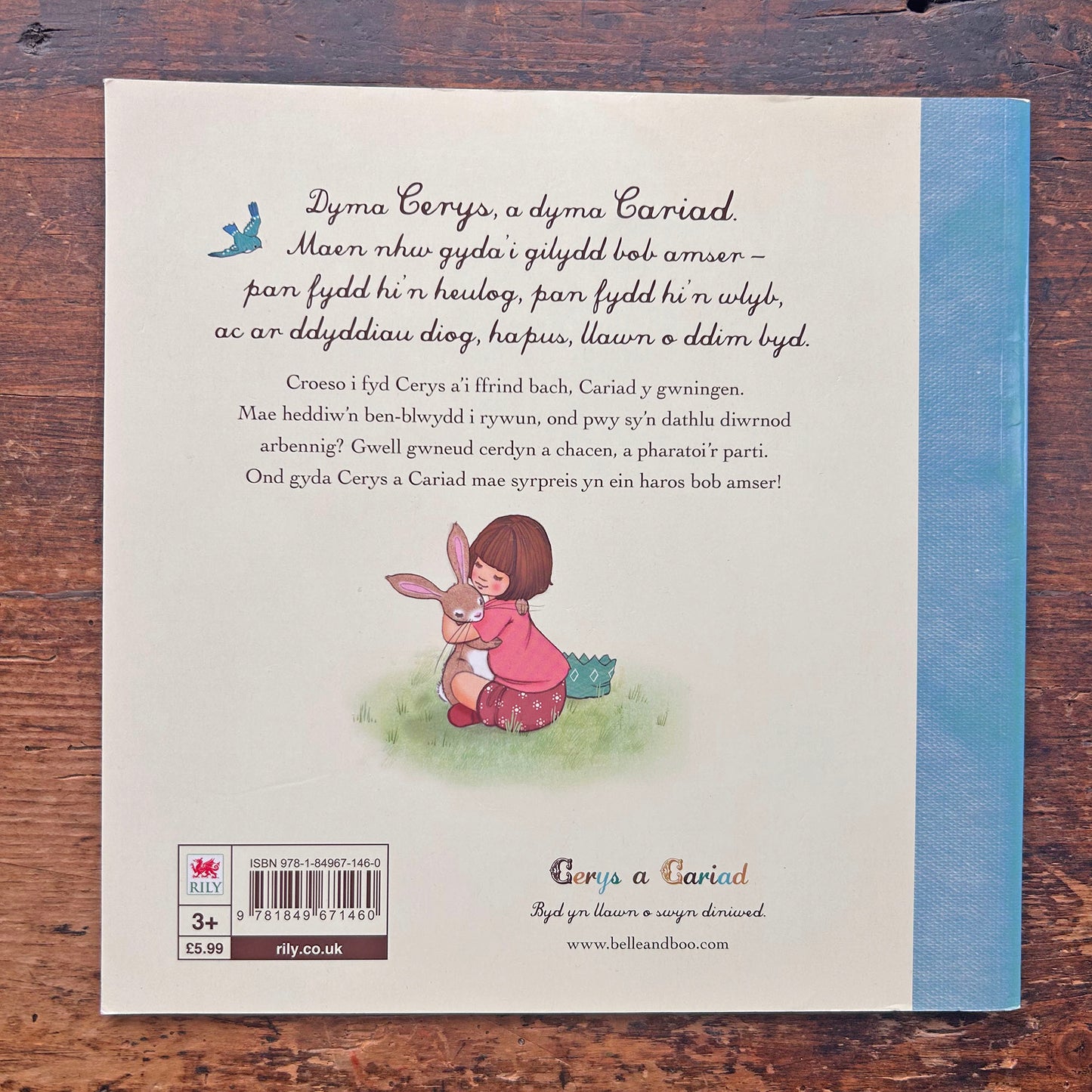 Cerys a Cariad a'r Syrpreis Pen-Blwydd (Preloved)