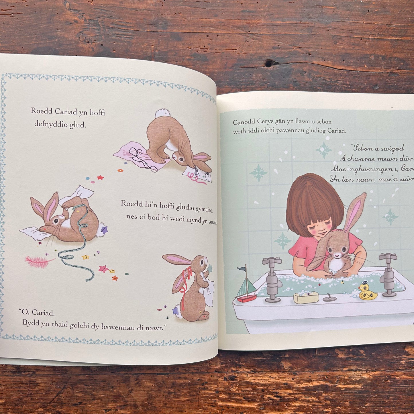 Cerys a Cariad a'r Syrpreis Pen-Blwydd (Preloved)