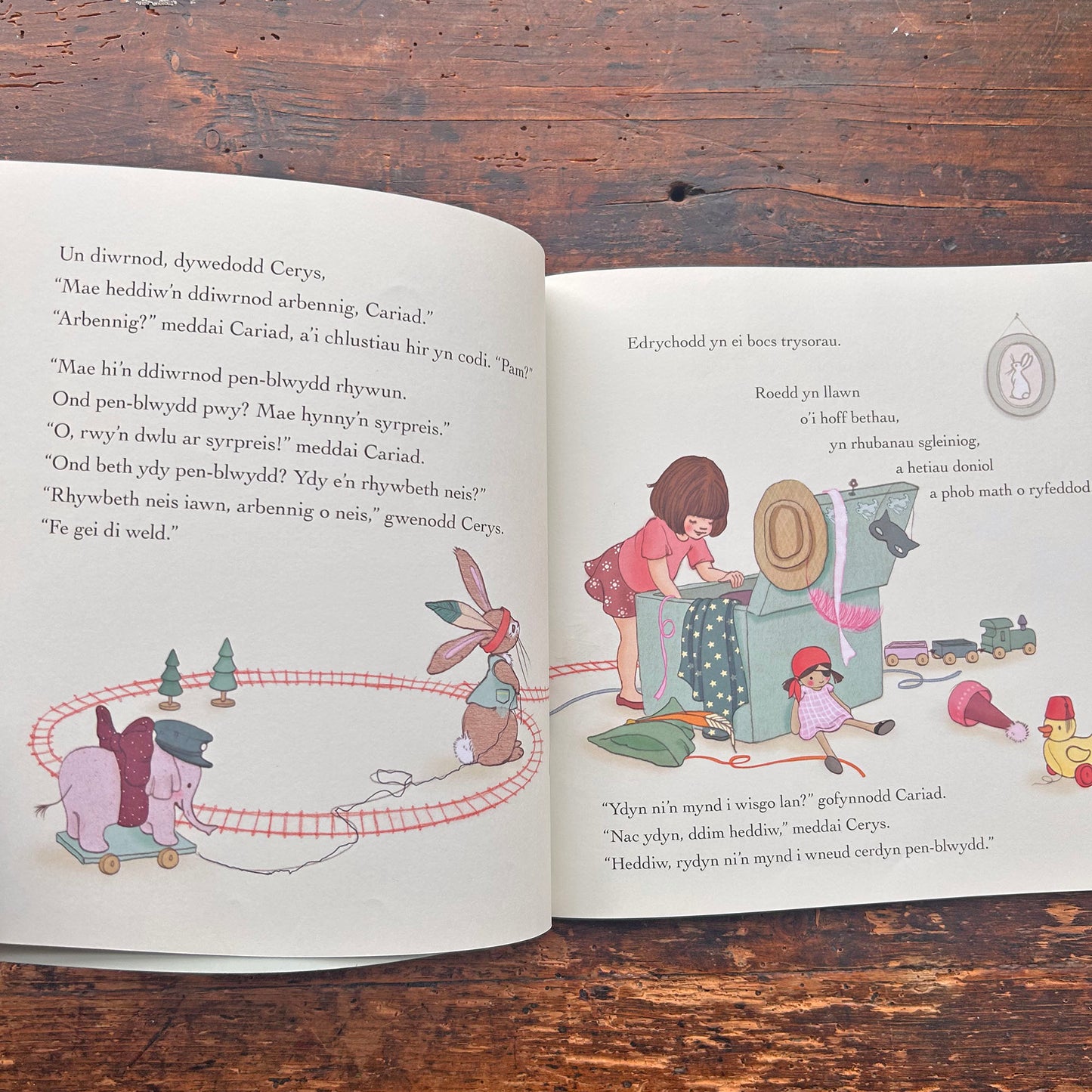 Cerys a Cariad a'r Syrpreis Pen-Blwydd (Preloved)