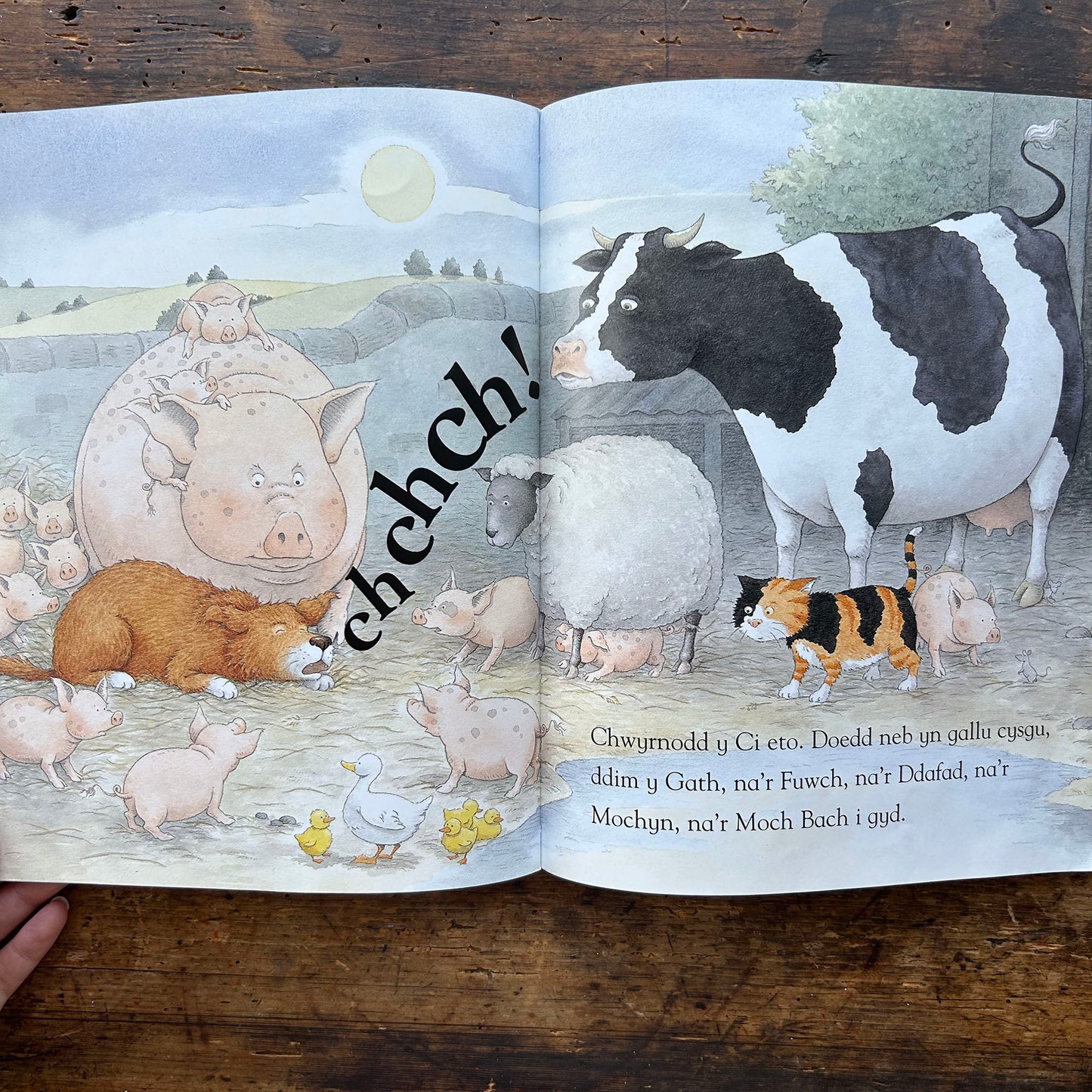 Ch-Chwyrnu! Michael Rosen a Jonathan Langley (Preloved)