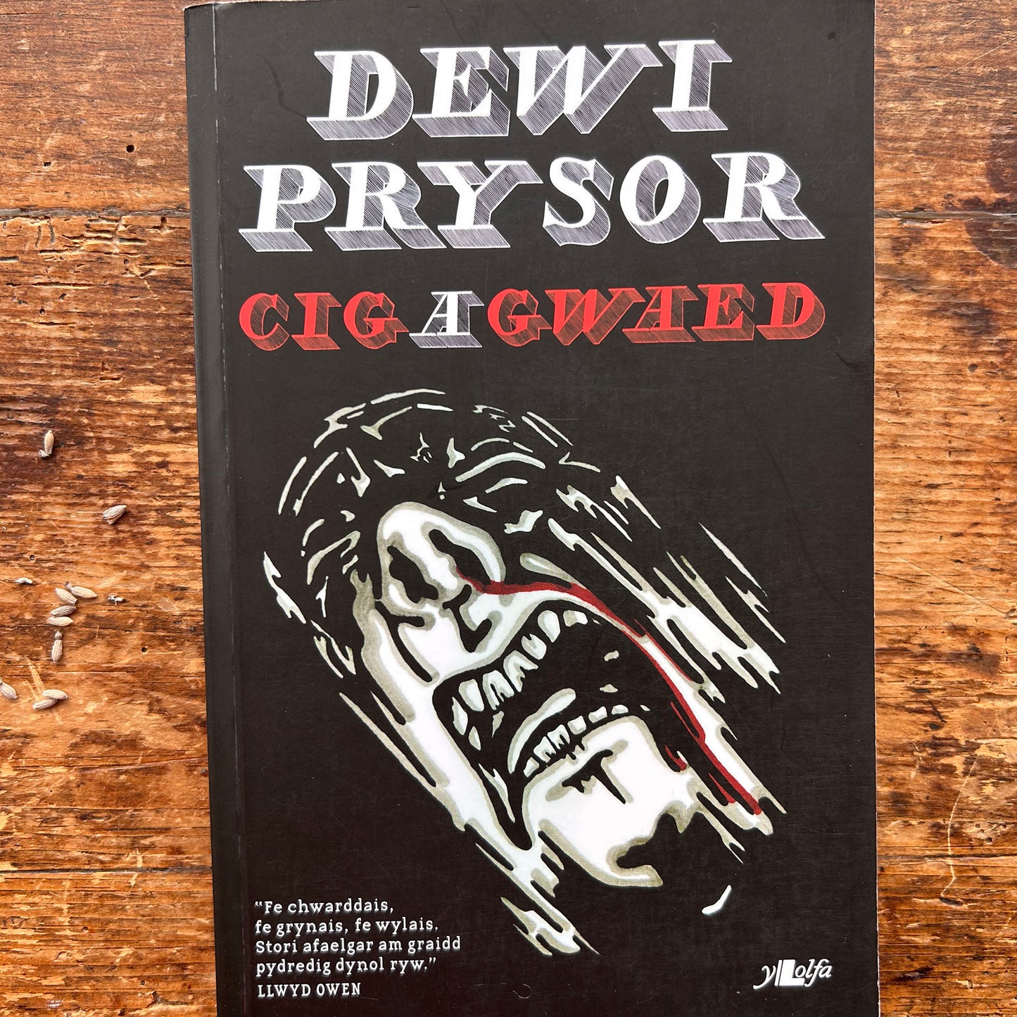 Cig A Gwaed - Dewi Pyrsor - 2012 (Preloved)