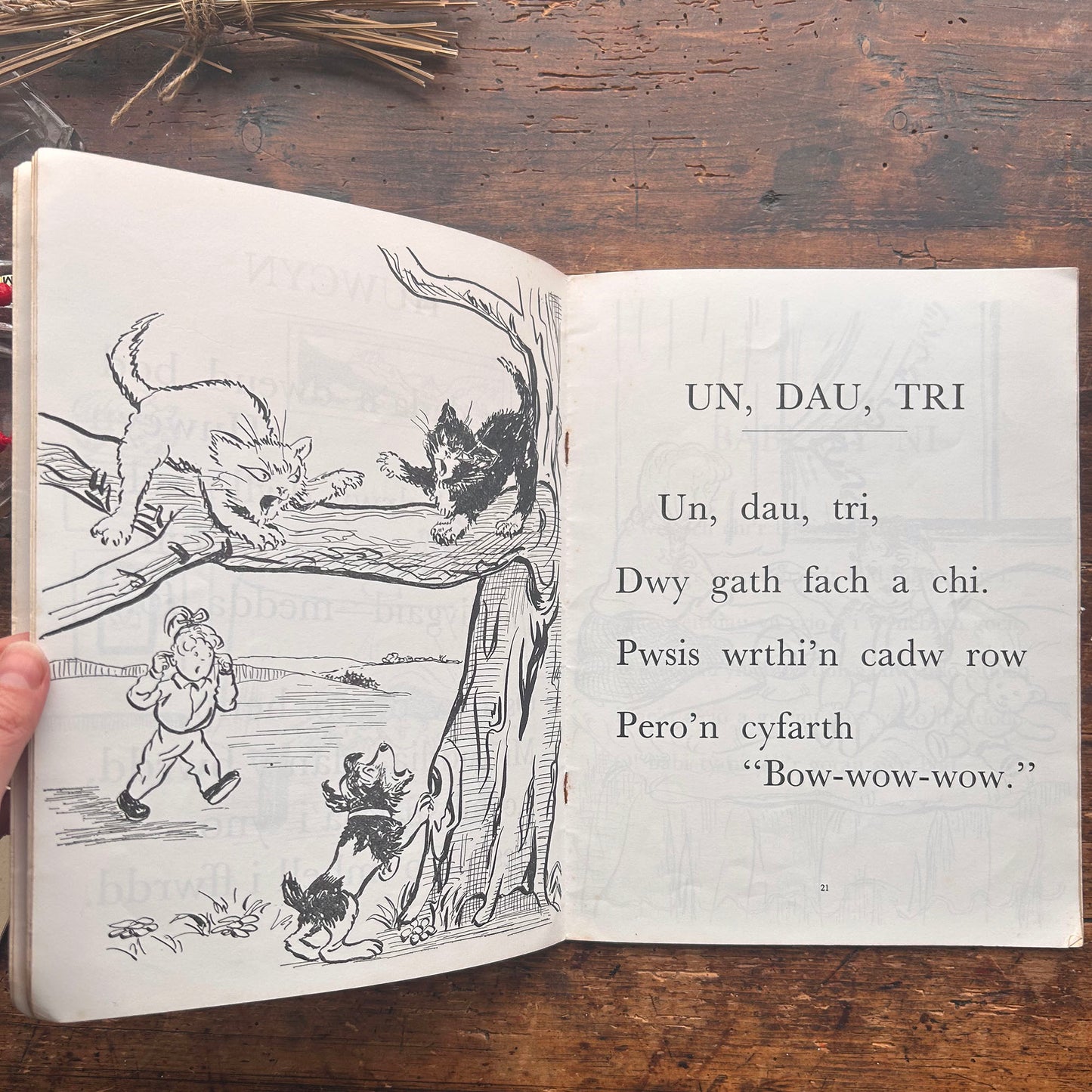 Clap! Clap!! Rhigymau i'r Plant Lleiag - Enid E. Thomas - 1964 (Preloved)