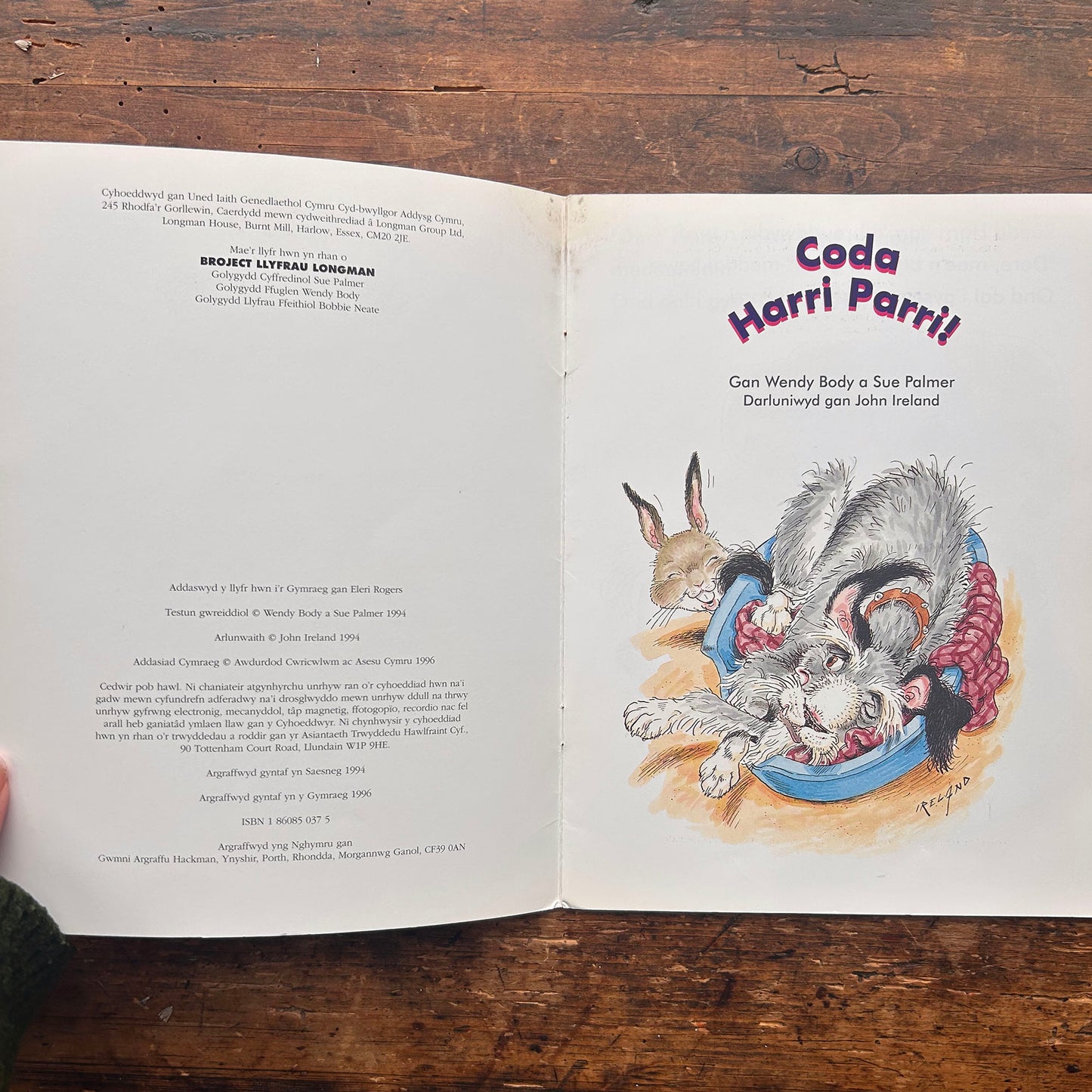 Coda Harri Parri! 1996 (Preloved)