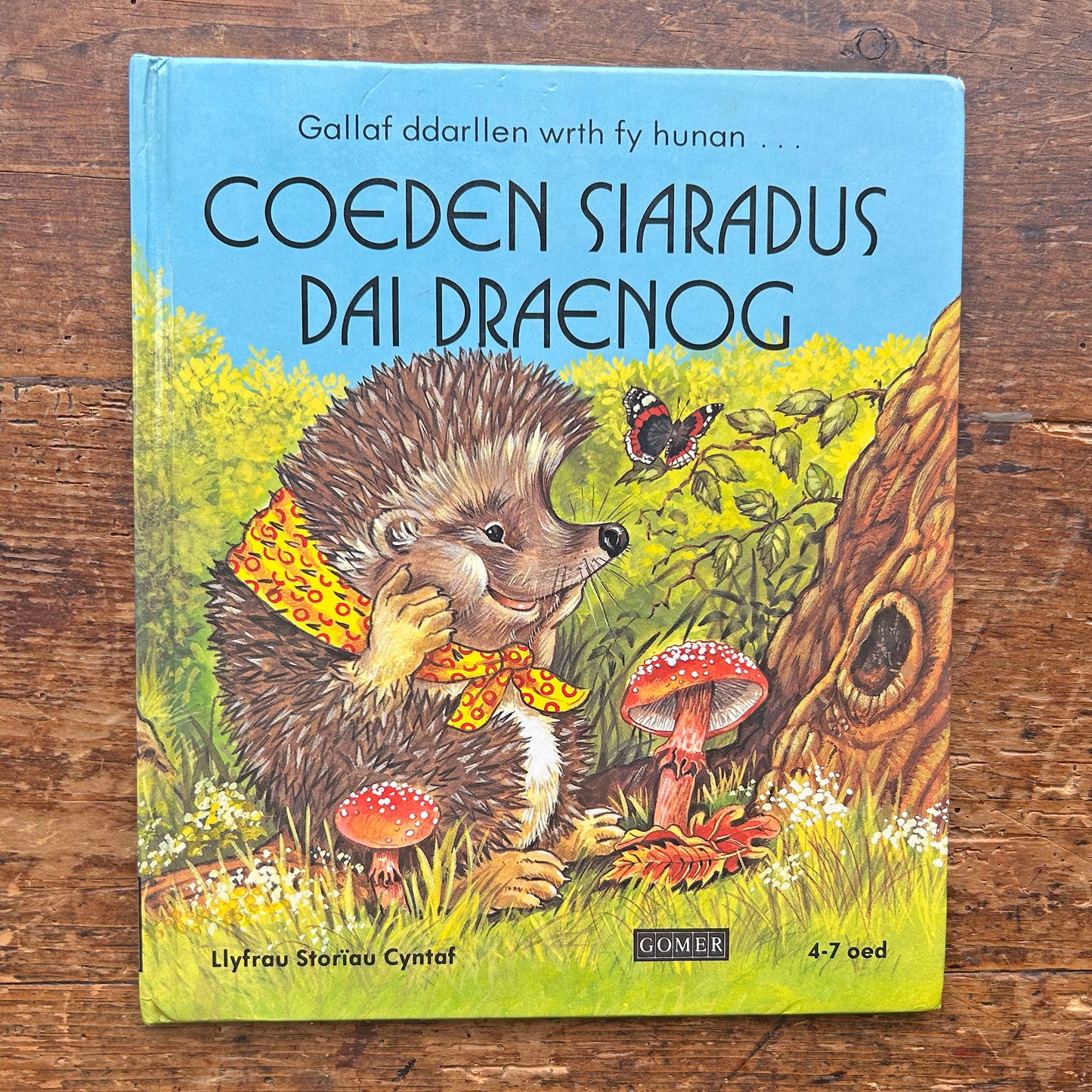 Coeden siaradus Dai Draenog - Vintage Welsh Book 1985 (Preloved)
