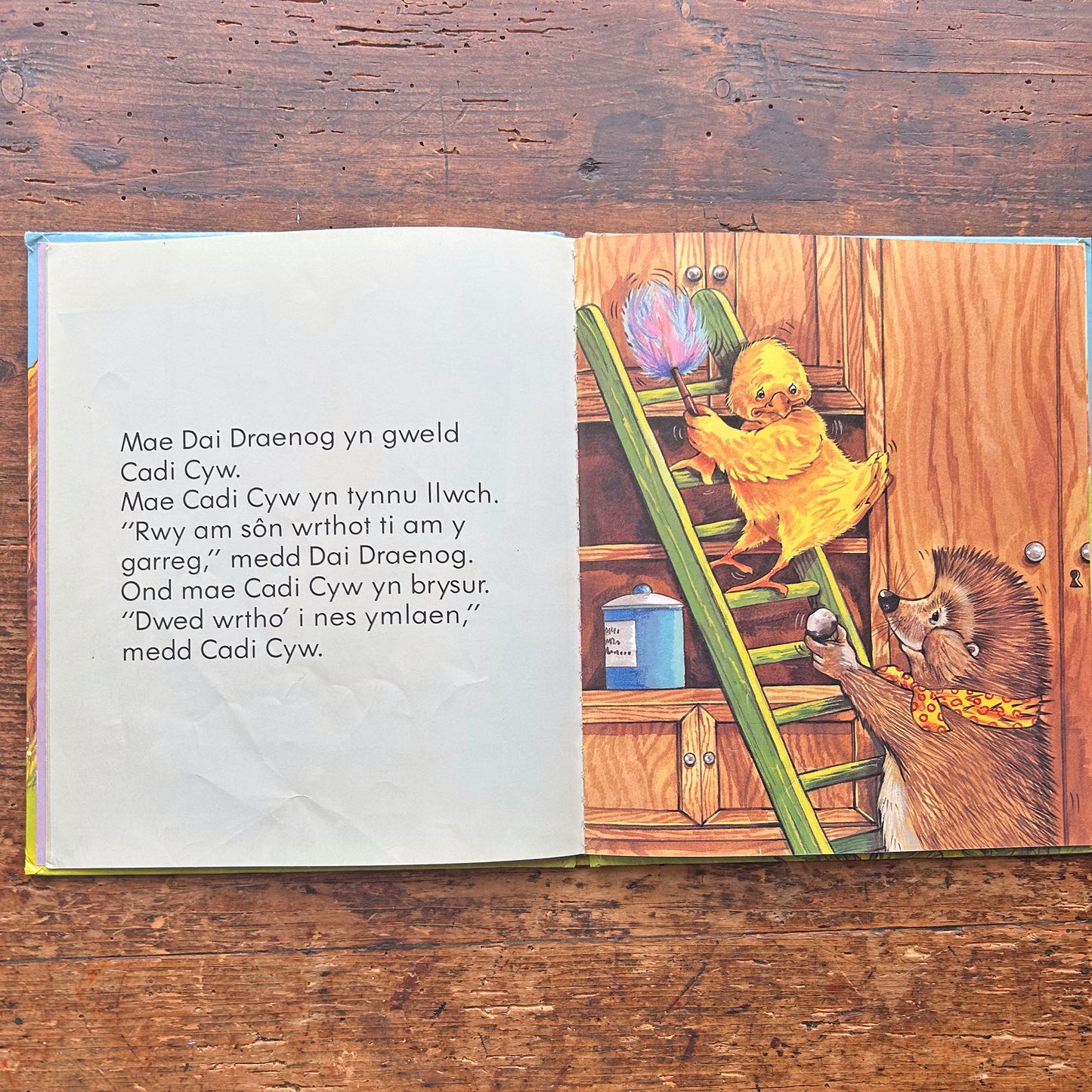 Coeden siaradus Dai Draenog - Vintage Welsh Book 1985 (Preloved)