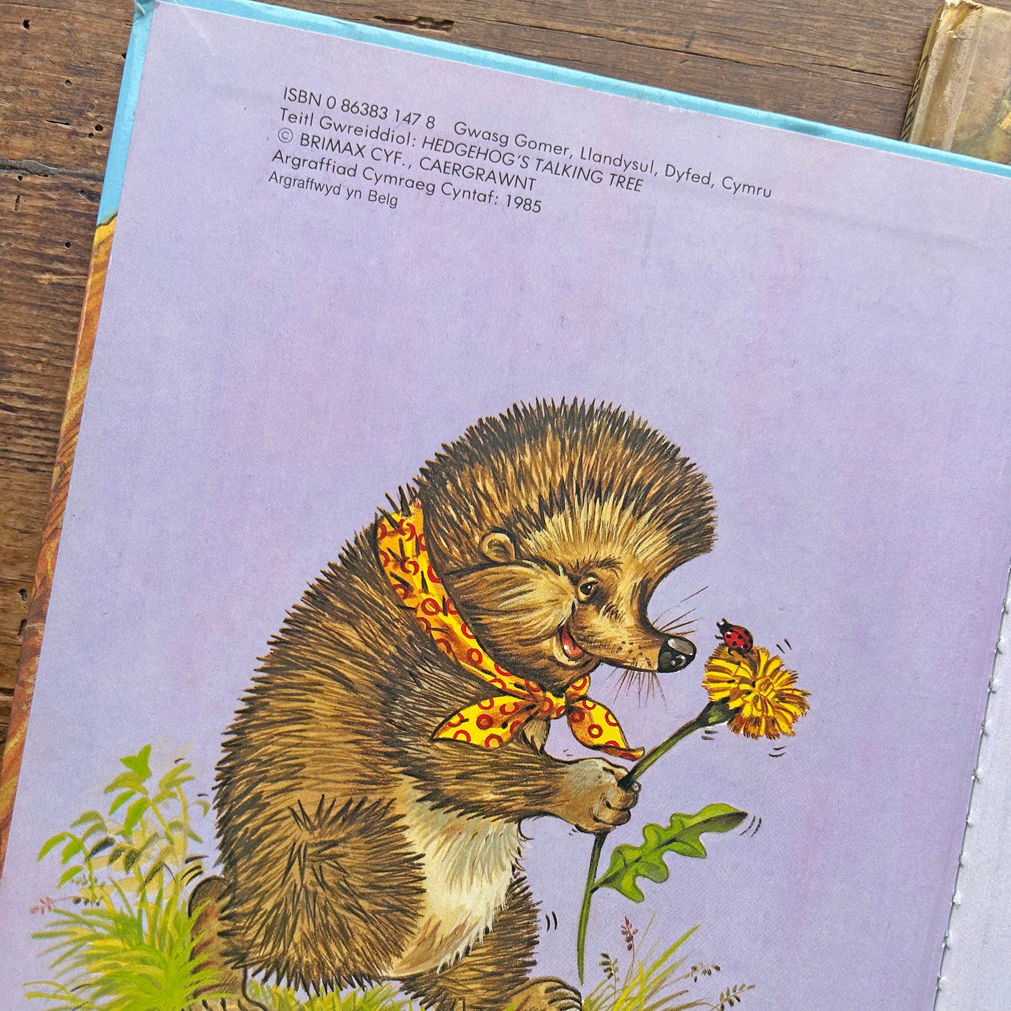 Coeden siaradus Dai Draenog - Vintage Welsh Book 1985 (Preloved)