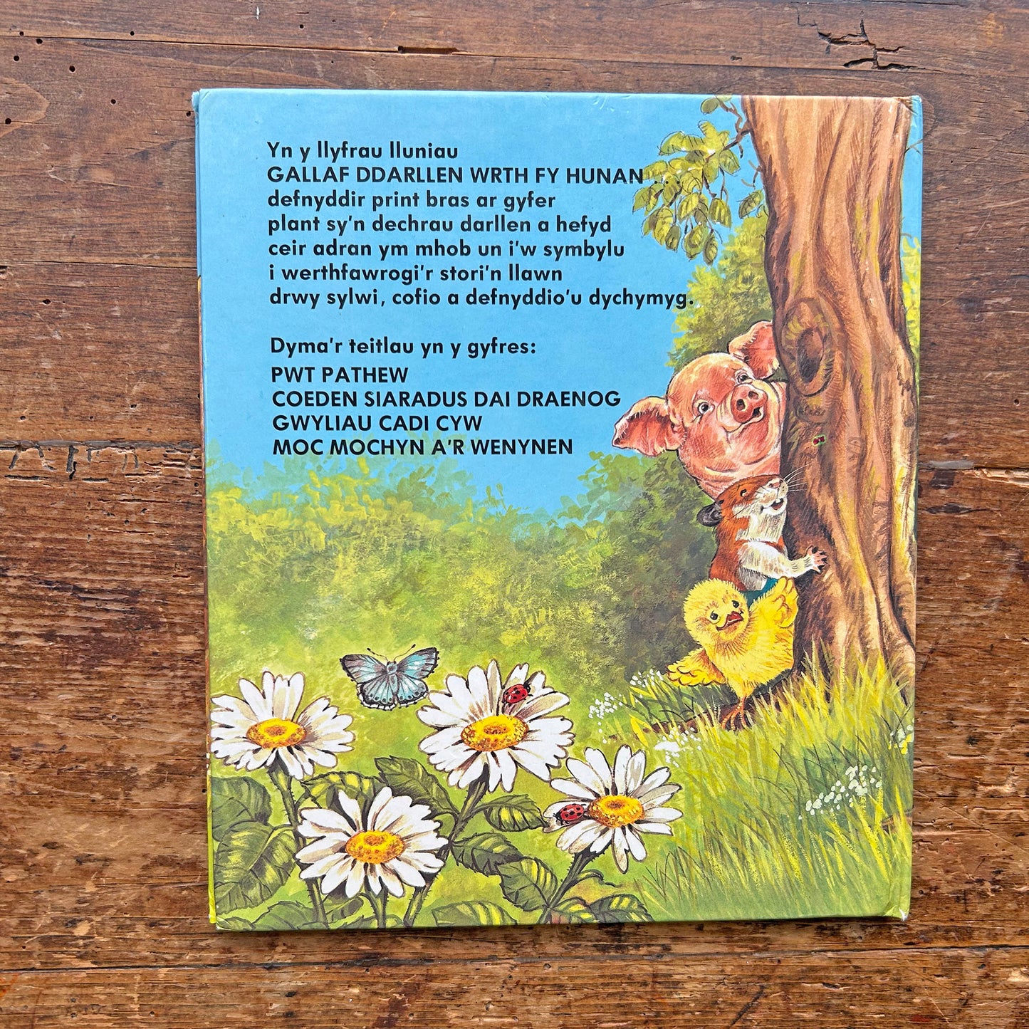 Coeden siaradus Dai Draenog - Vintage Welsh Book 1985 (Preloved)