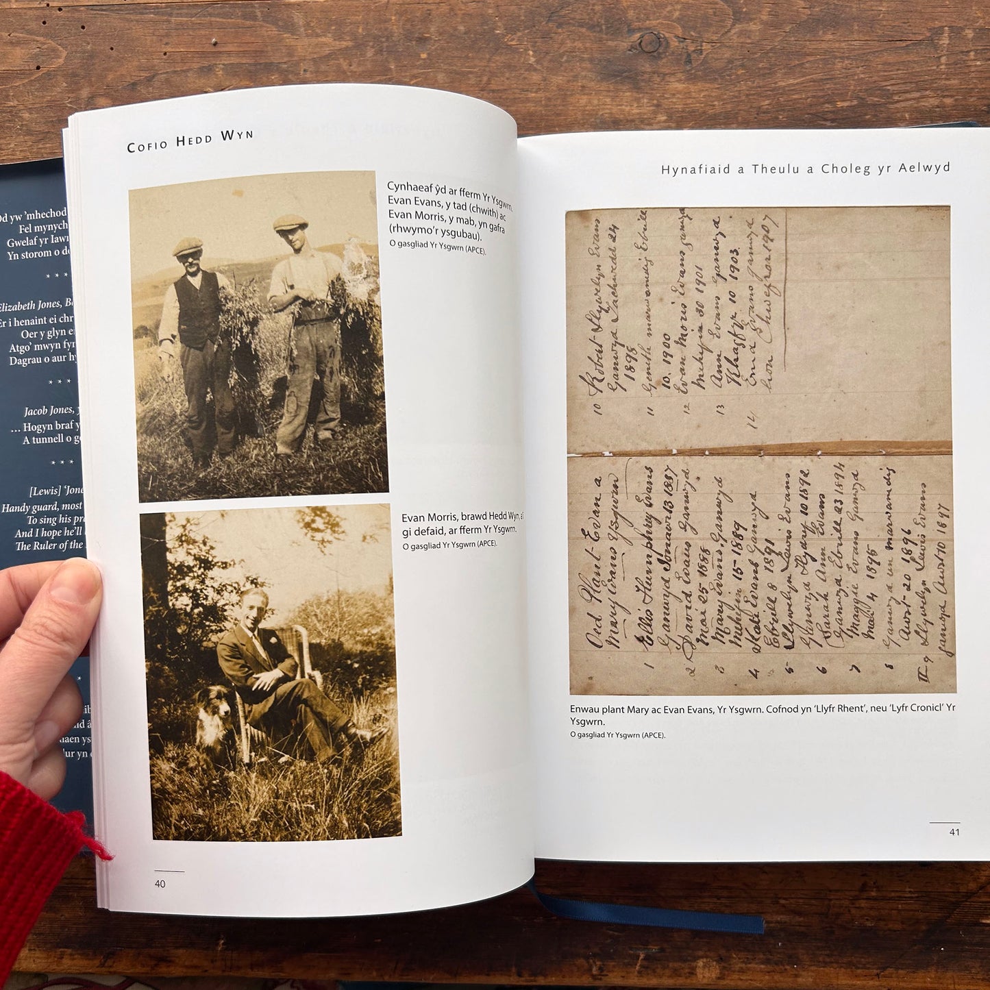 Cofio Hedd Wyn - Robin Gwyndaf (Preloved)