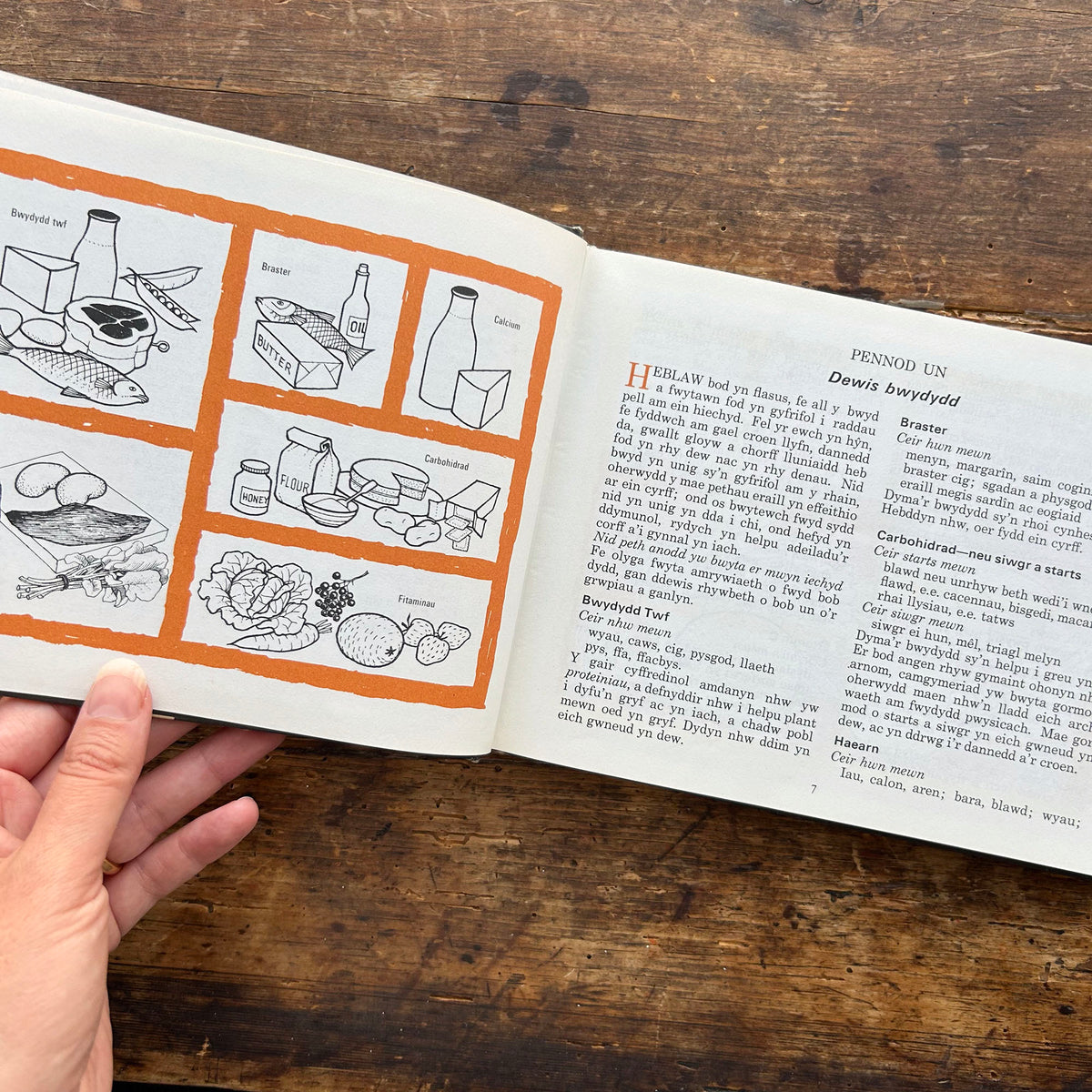 Cymeriadau'r Beibl - Cymeriadau Beiblaidd 1957 (Preloved)