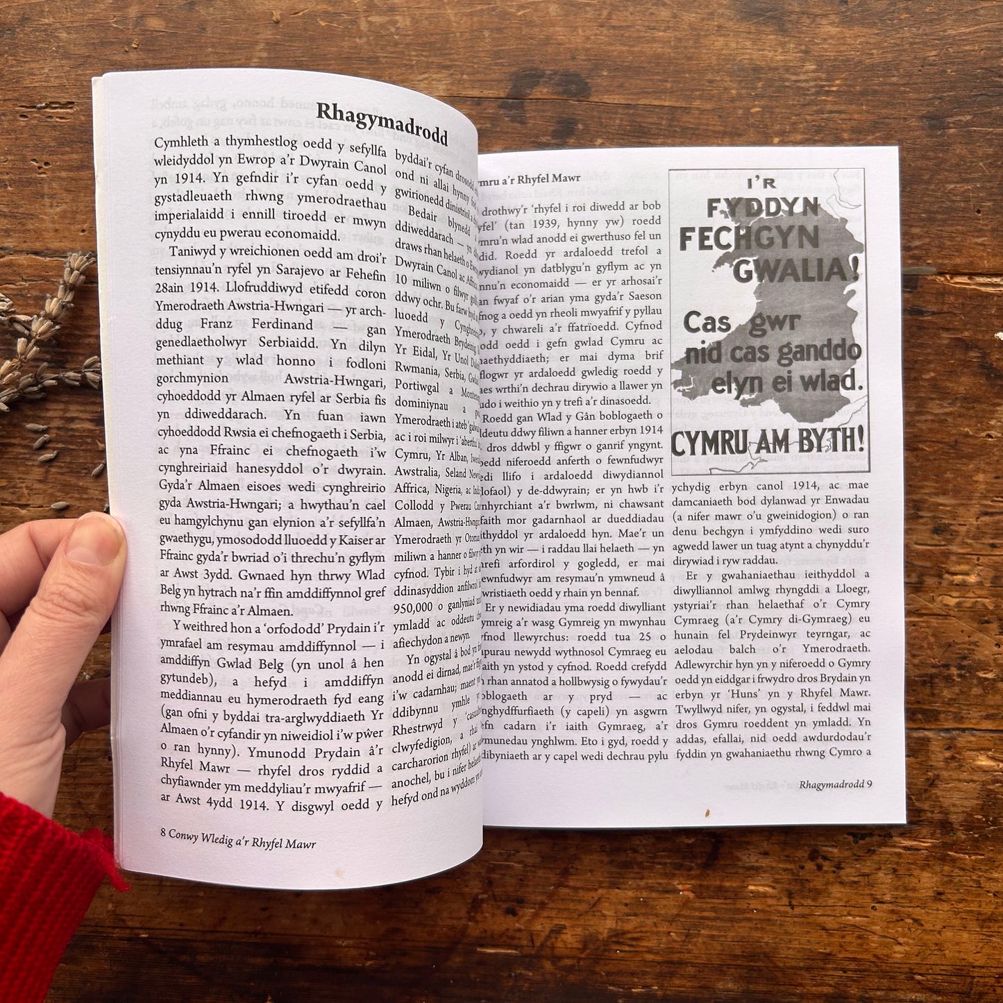Conwy Wledig A'r Rhyfel Mawr - Eryl Prys Jones- 2017 (Preloved)