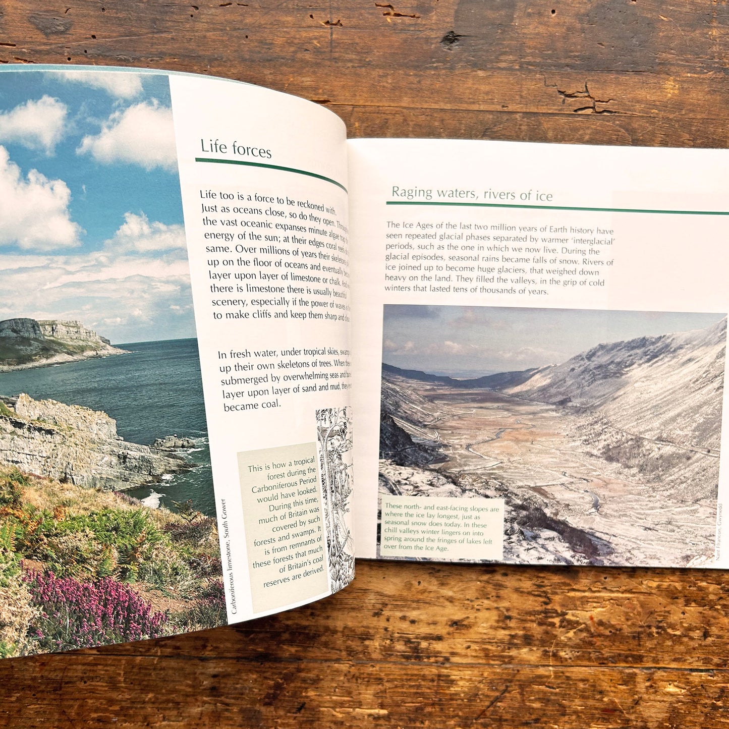 Creu Cymru / The Making of Wales (Preloved)