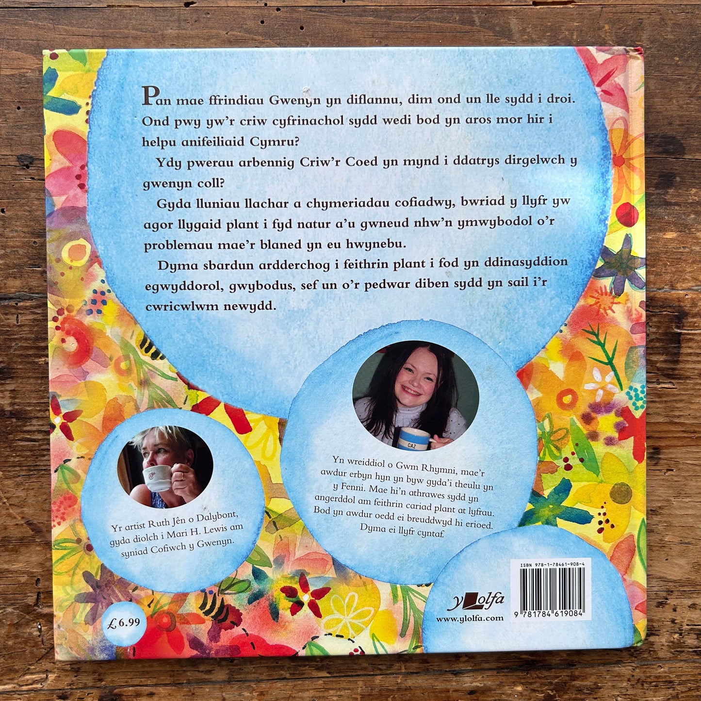 Criw'r Coed A'r Gwenyn Coll - Carys Haf Glyn & Ruth Jên (Preloved)