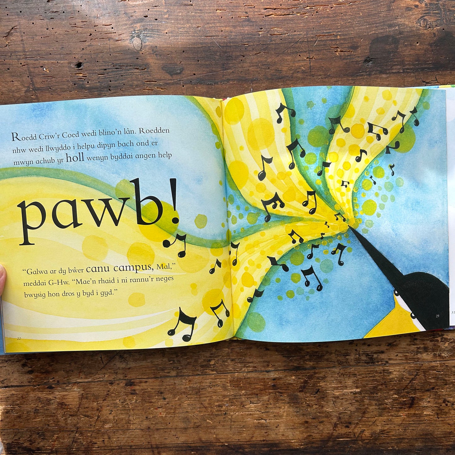 Criw'r Coed A'r Gwenyn Coll - Carys Haf Glyn & Ruth Jên (Preloved)