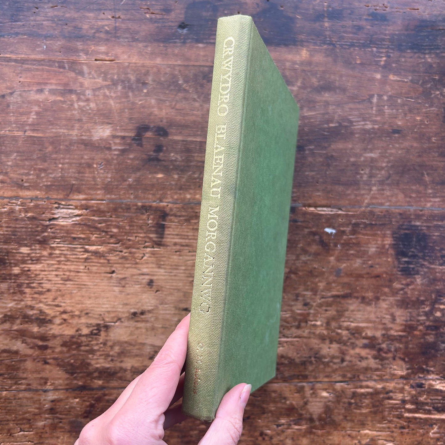 Crwydro Blaenau Morgannwg - G. M Roberts (Preloved)