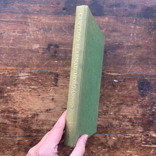 Crwydro Blaenau Morgannwg - G. M Roberts (Preloved)