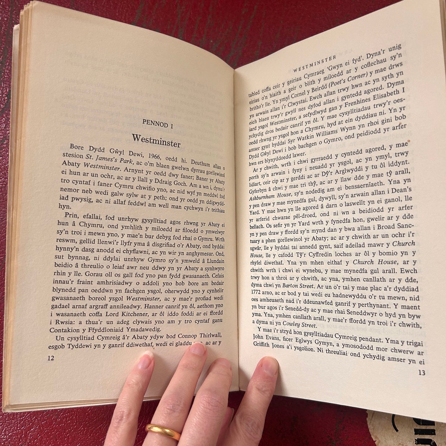 Crwydro Llundain - Wandering / Touring London - 1977 (Preloved)