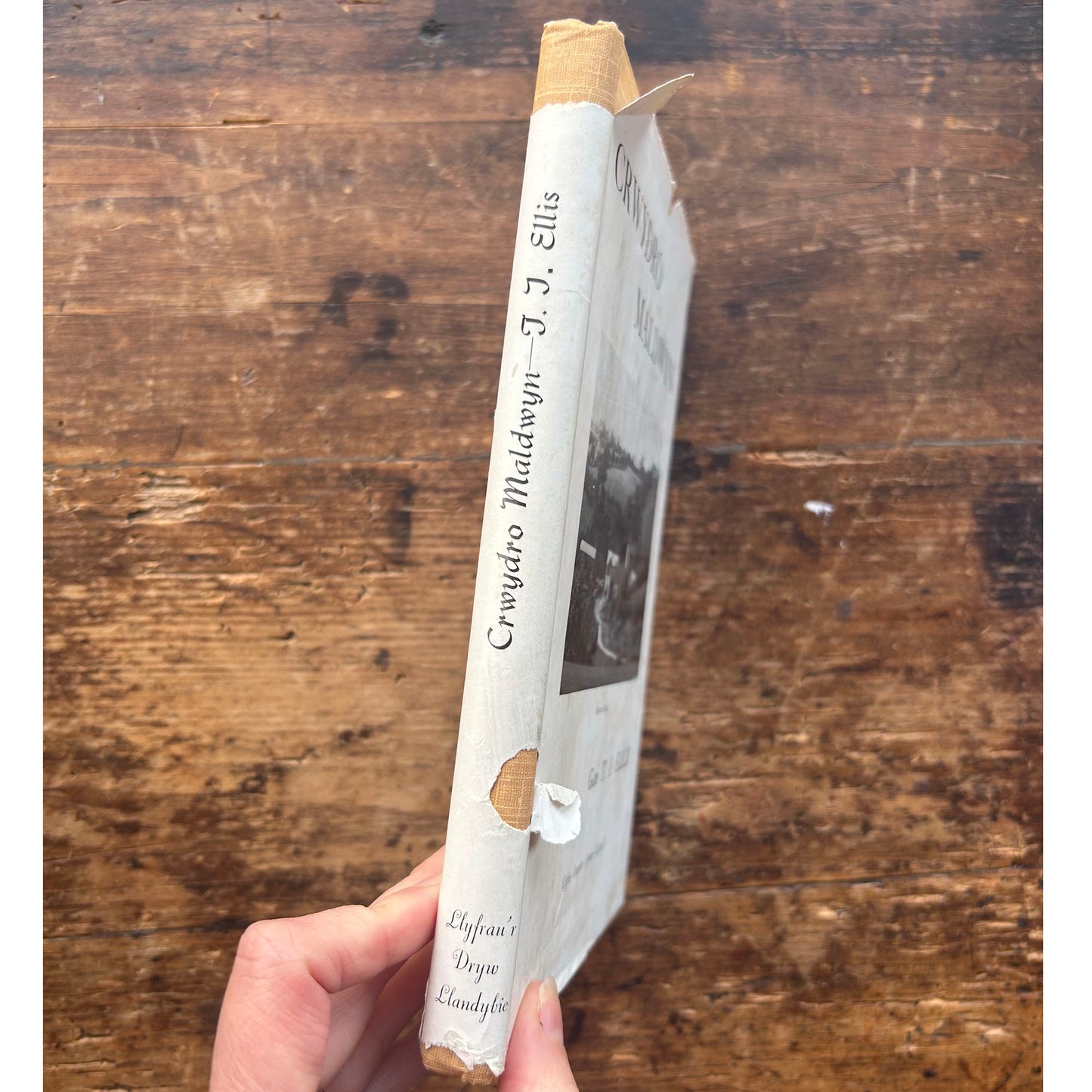 Crwydro Maldwyn - J. J. Ellis (Preloved)