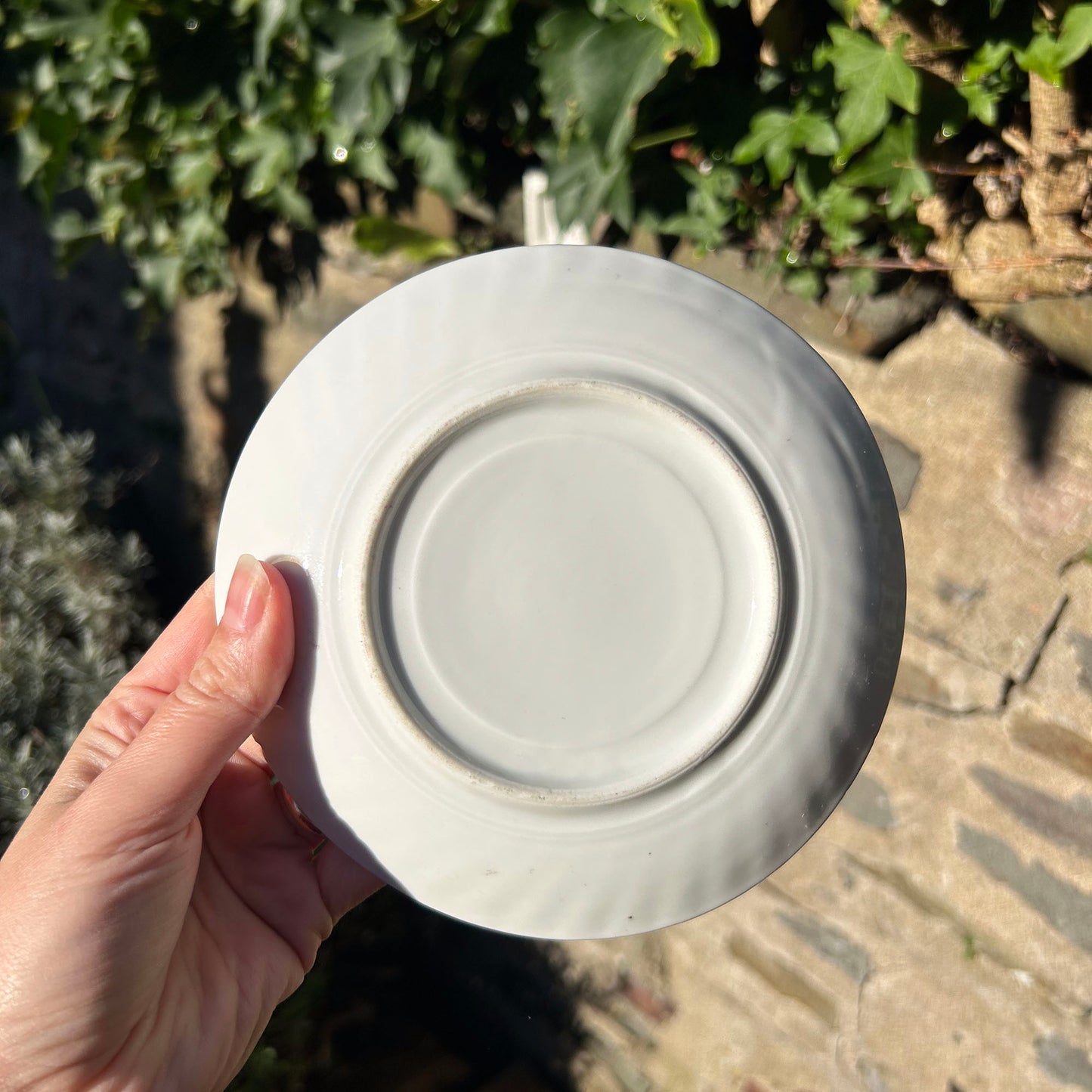 Cup & Saucer - Llandudno Pier and Little Ormes Head - Antique Souvenir (Preloved)