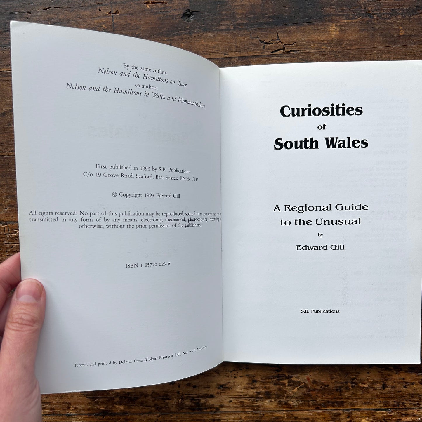 Curiosities of South Wales: A Regional Guide to the Unusual - Edward Gill 1993 (Preloved)
