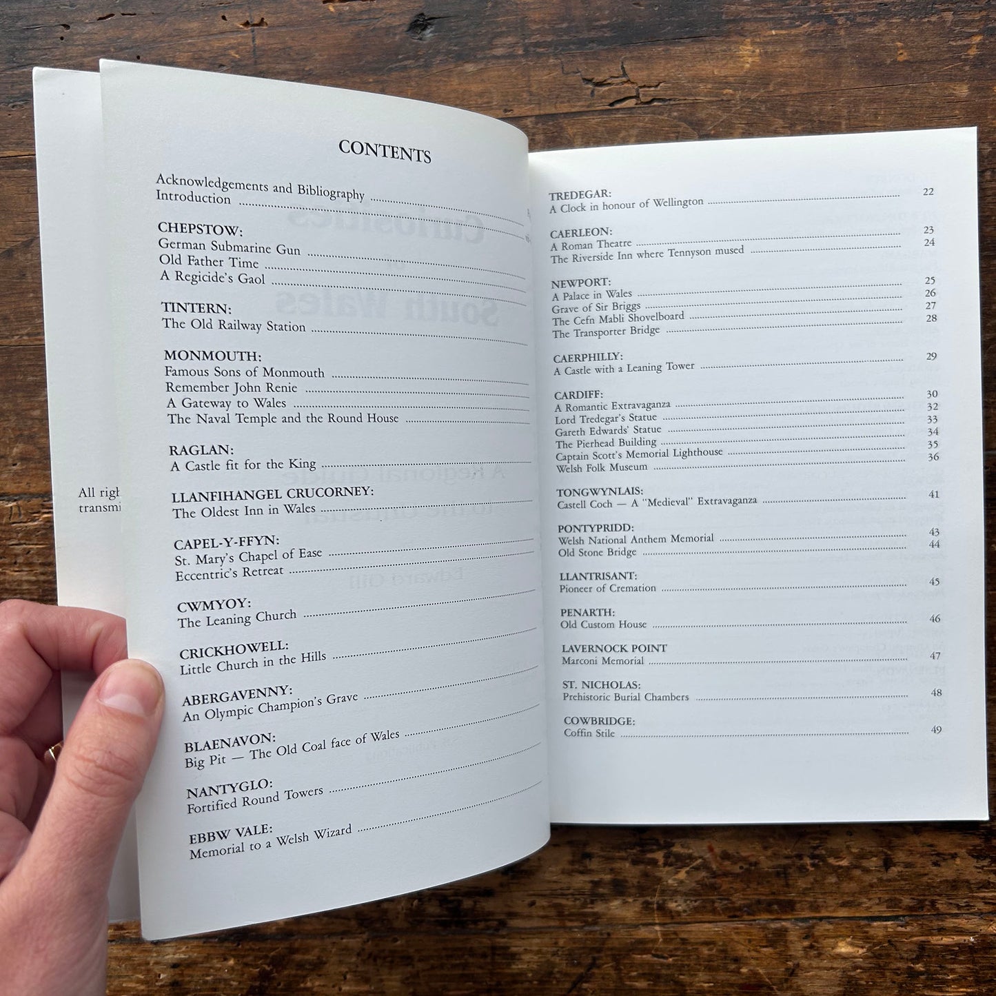 Curiosities of South Wales: A Regional Guide to the Unusual - Edward Gill 1993 (Preloved)