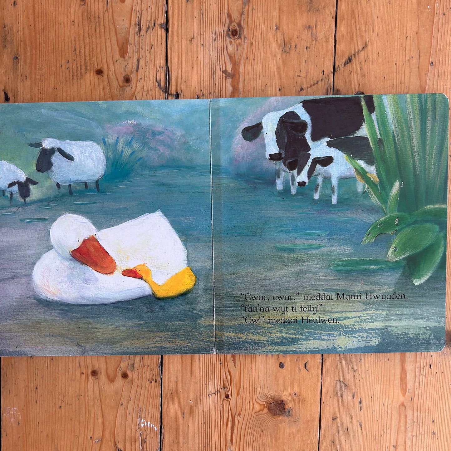 Cw! Meddai Heulwen - Jane Simmons - 1999 (Preloved)