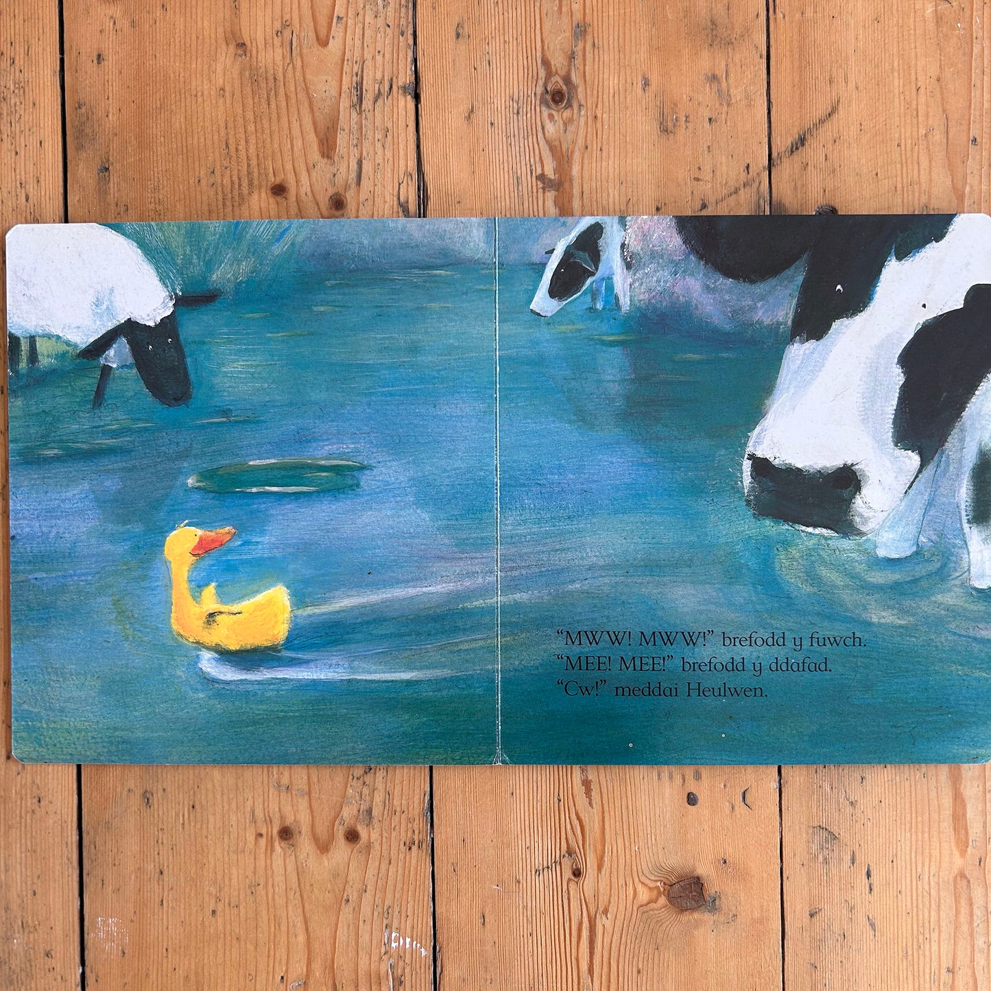 Cw! Meddai Heulwen - Jane Simmons - 1999 (Preloved)