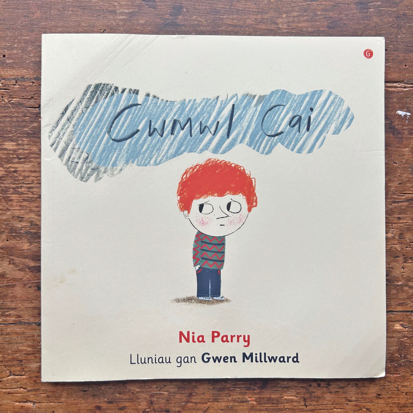 Cwmwl Cai - Nia Parry (Preloved)