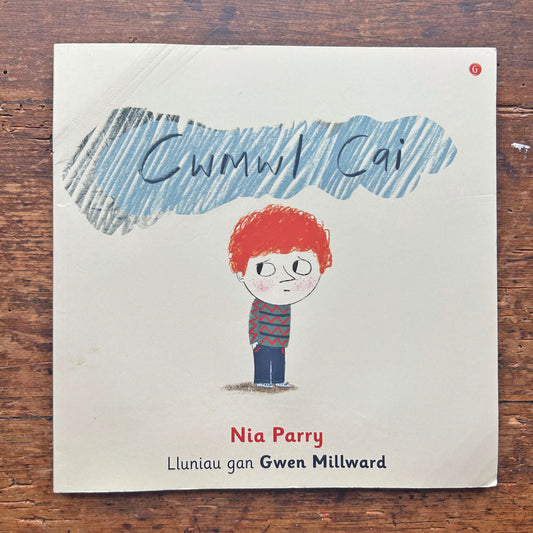 Cwmwl Cai - Nia Parry (Preloved)