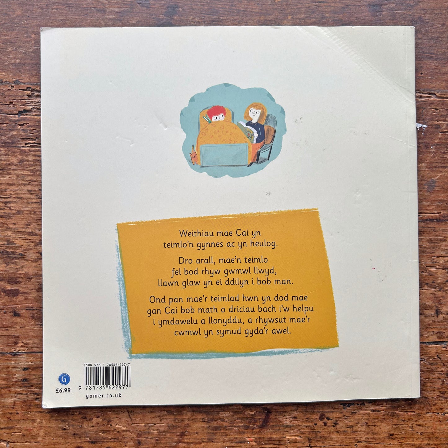 Cwmwl Cai - Nia Parry (Preloved)