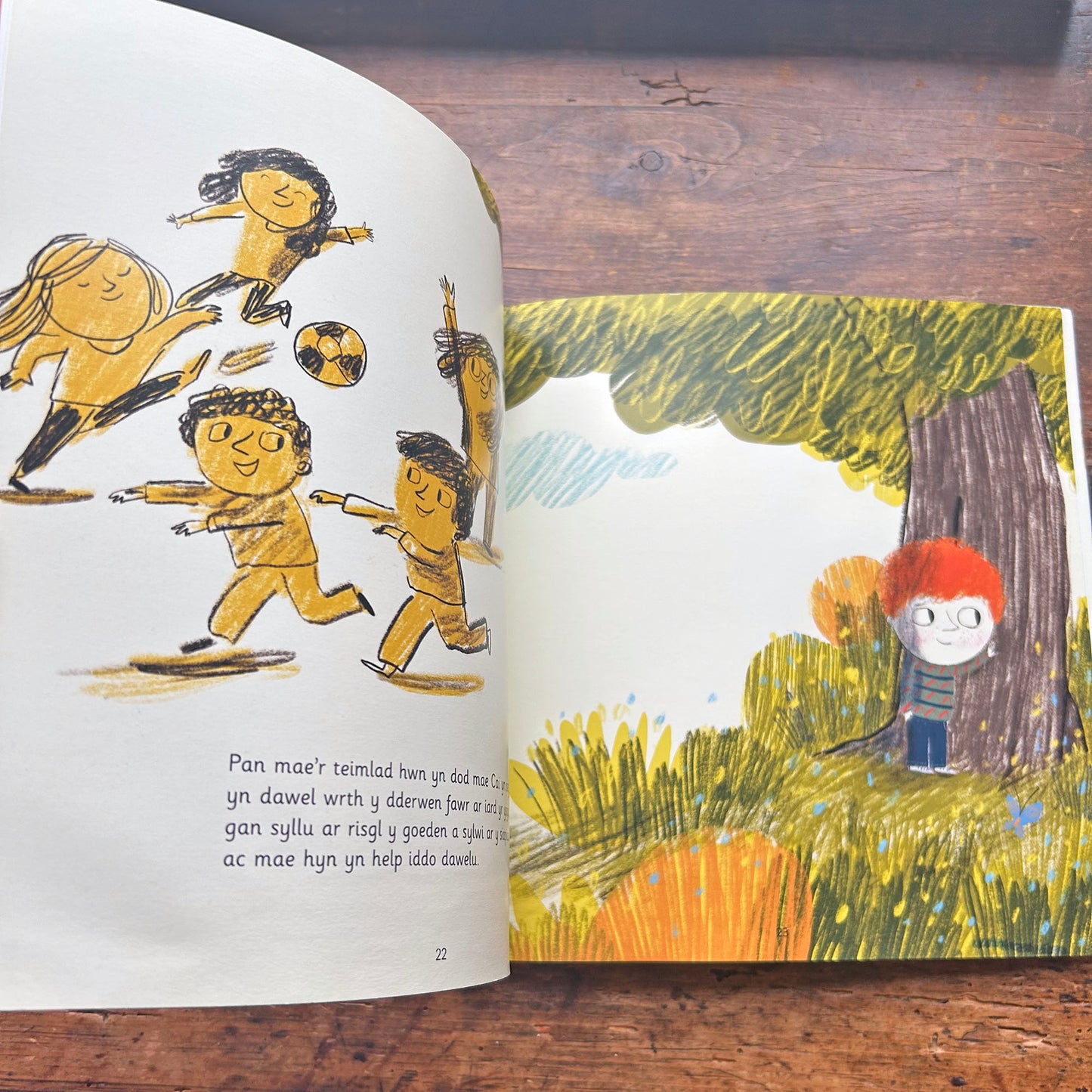 Cwmwl Cai - Nia Parry (Preloved)