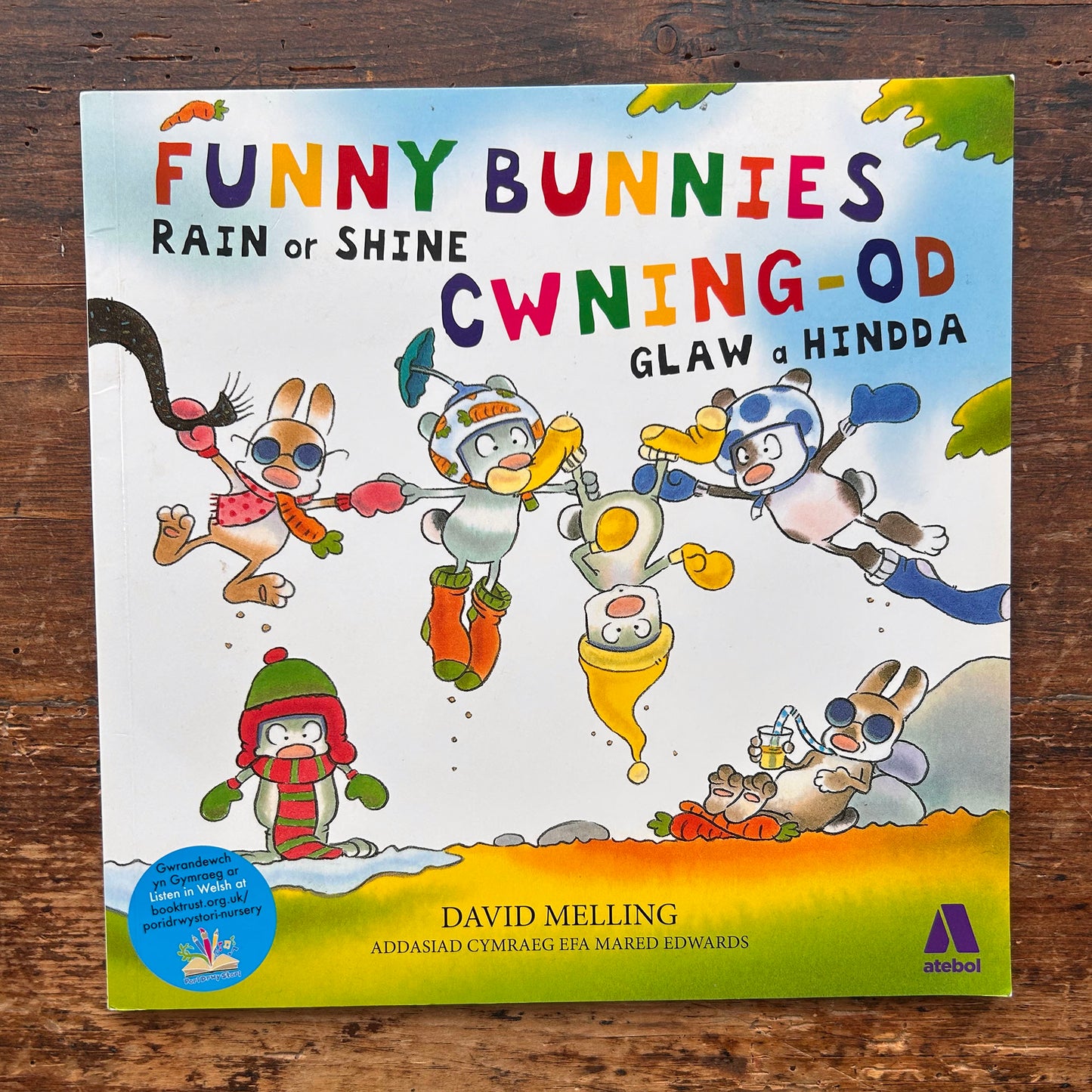 Cwning-Od: Glaw a Hindda / Funny Bunnies Rain or Shine (Preloved)