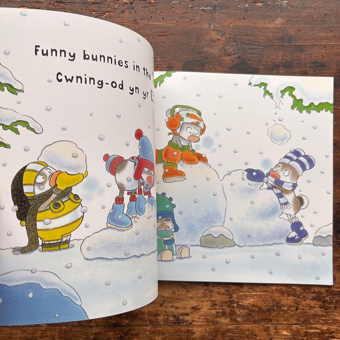 Cwning-Od: Glaw a Hindda / Funny Bunnies Rain or Shine (Preloved)