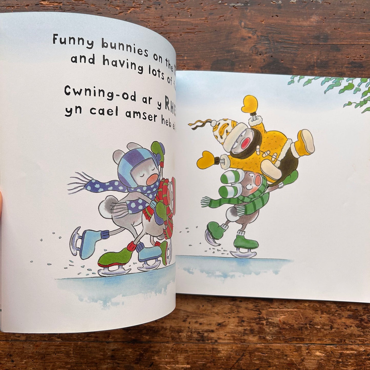 Cwning-Od: Glaw a Hindda / Funny Bunnies Rain or Shine (Preloved)